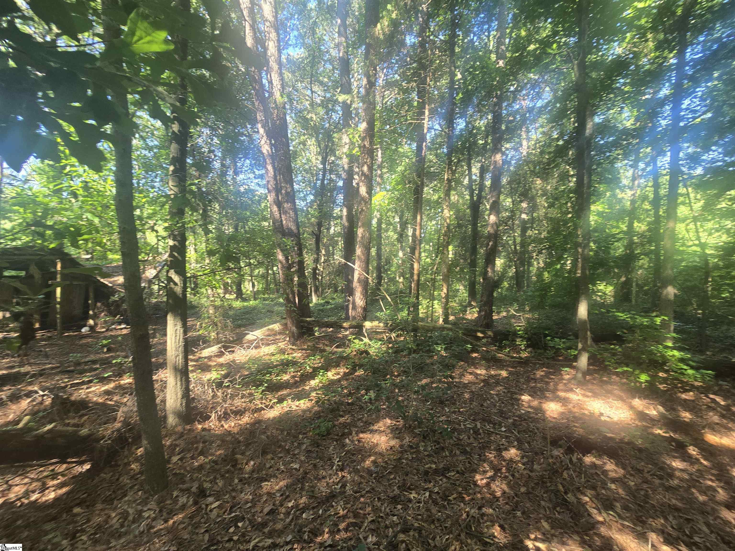 12.3 acres Highway Townville, SC 29689
