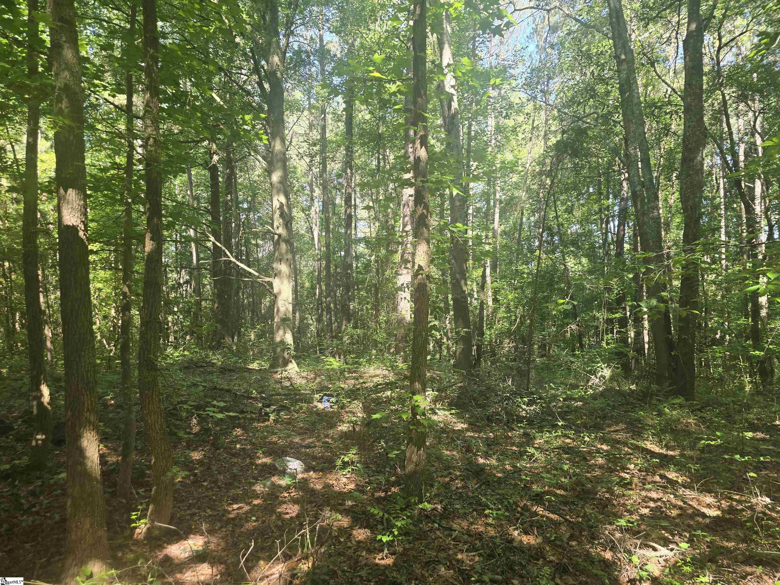 12.3 acres Highway Townville, SC 29689