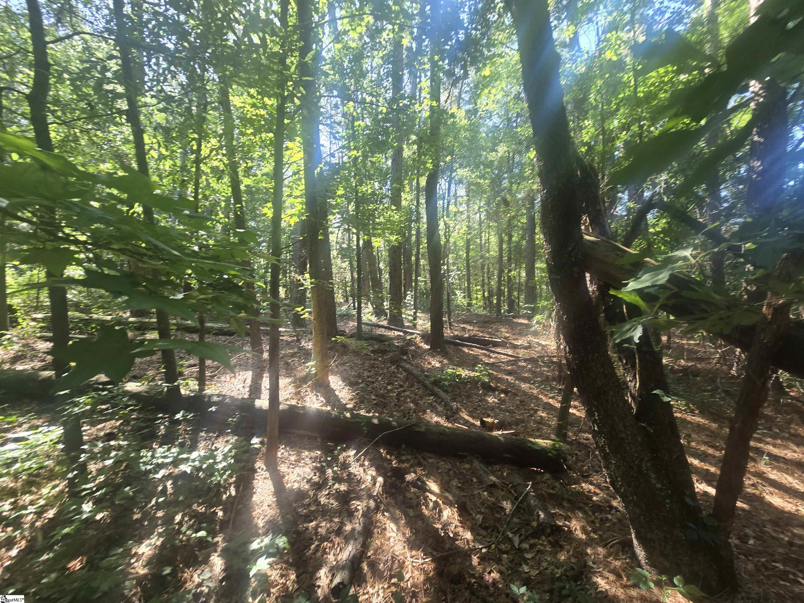 12.3 acres Highway Townville, SC 29689