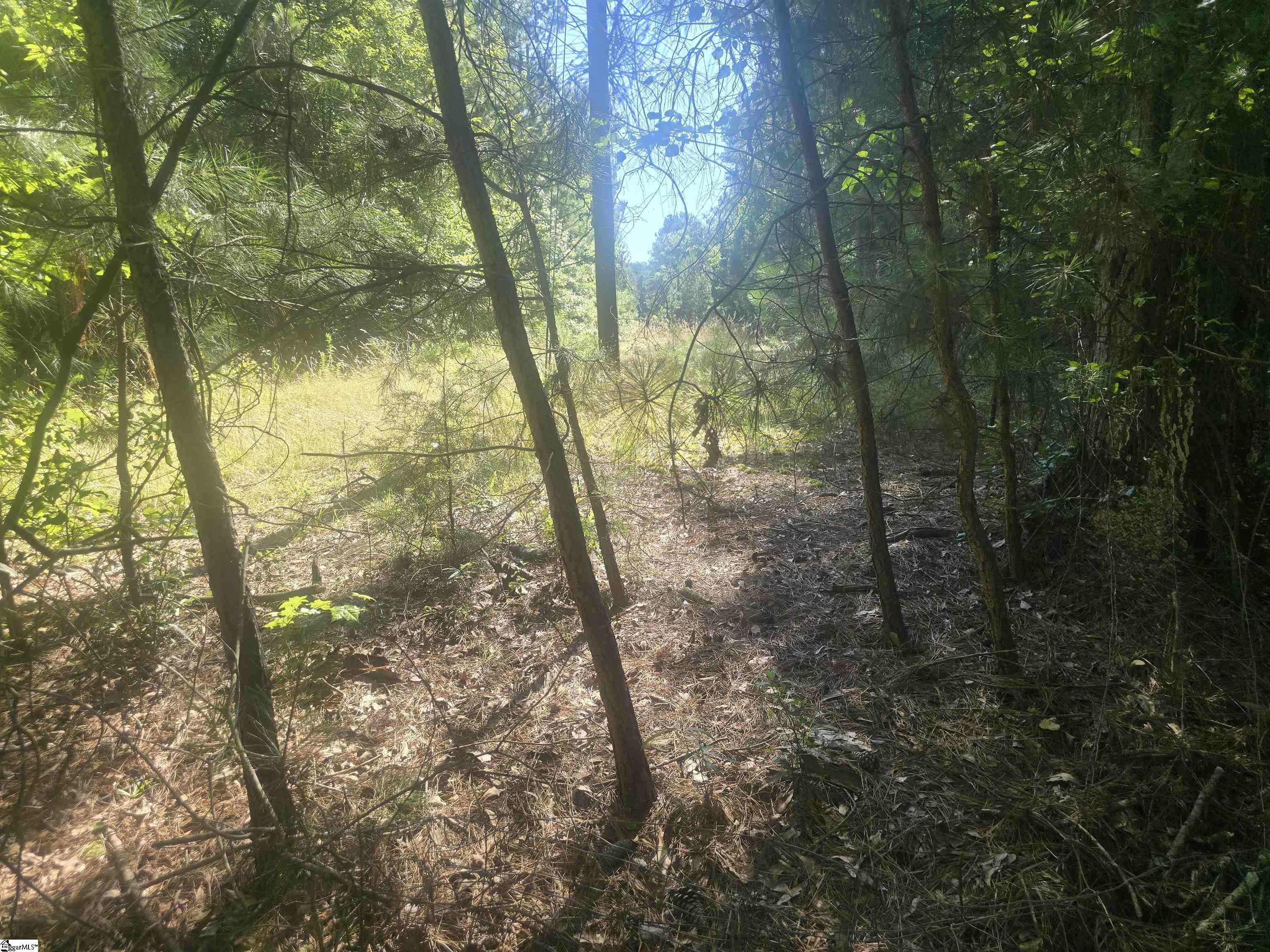 12.3 acres Highway Townville, SC 29689
