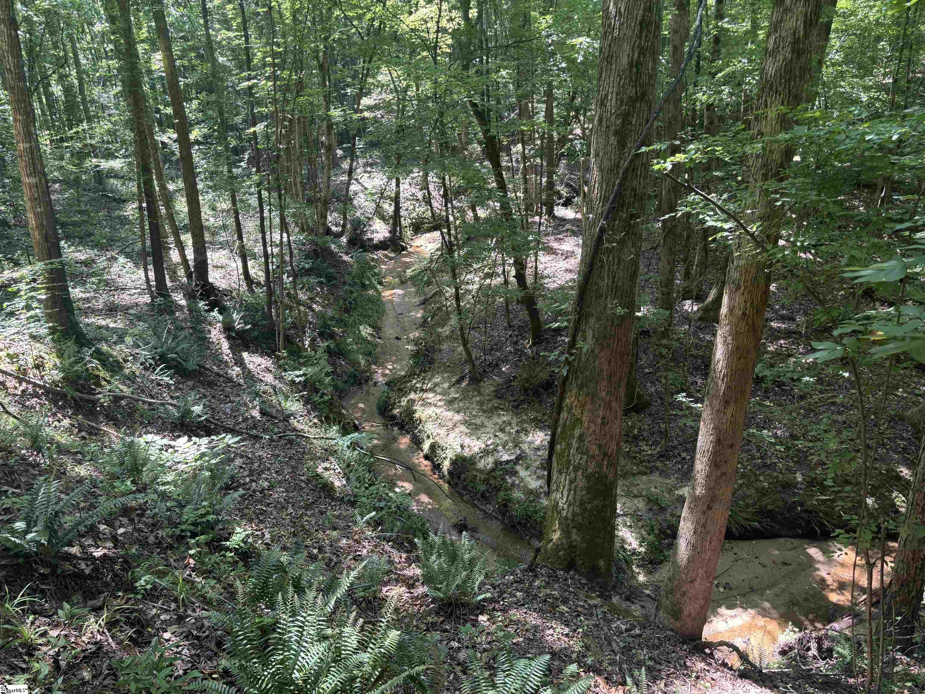 Old Calhoun Falls Road Abbeville, SC 29620