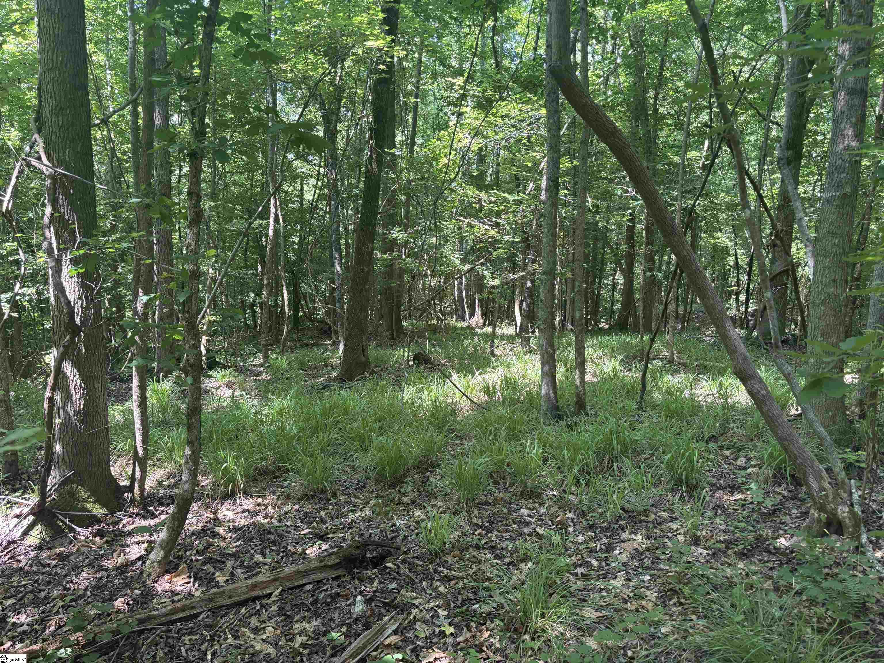 Old Calhoun Falls Road Abbeville, SC 29620
