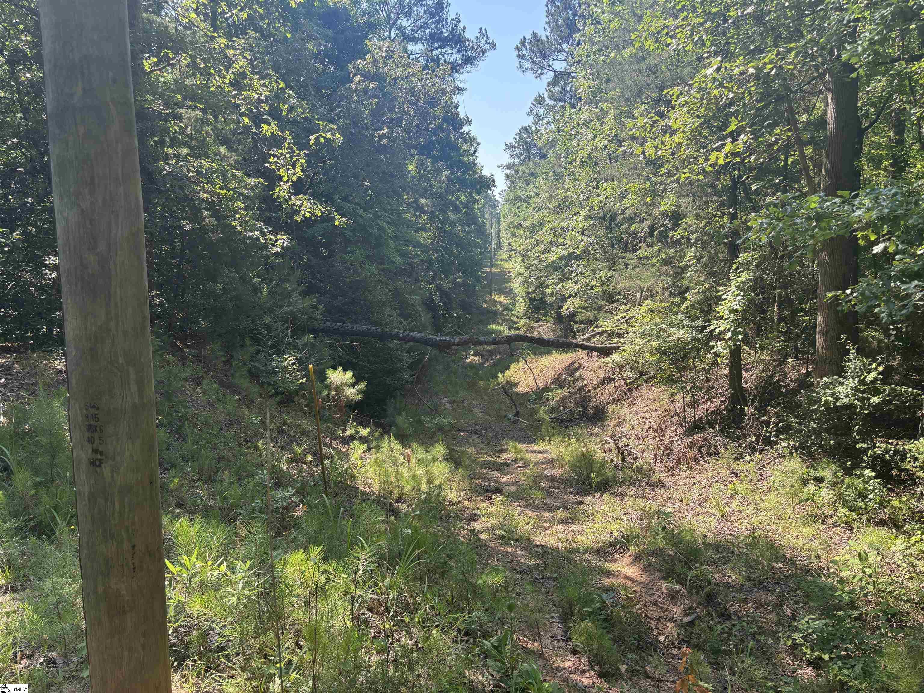 Old Calhoun Falls Road Abbeville, SC 29620