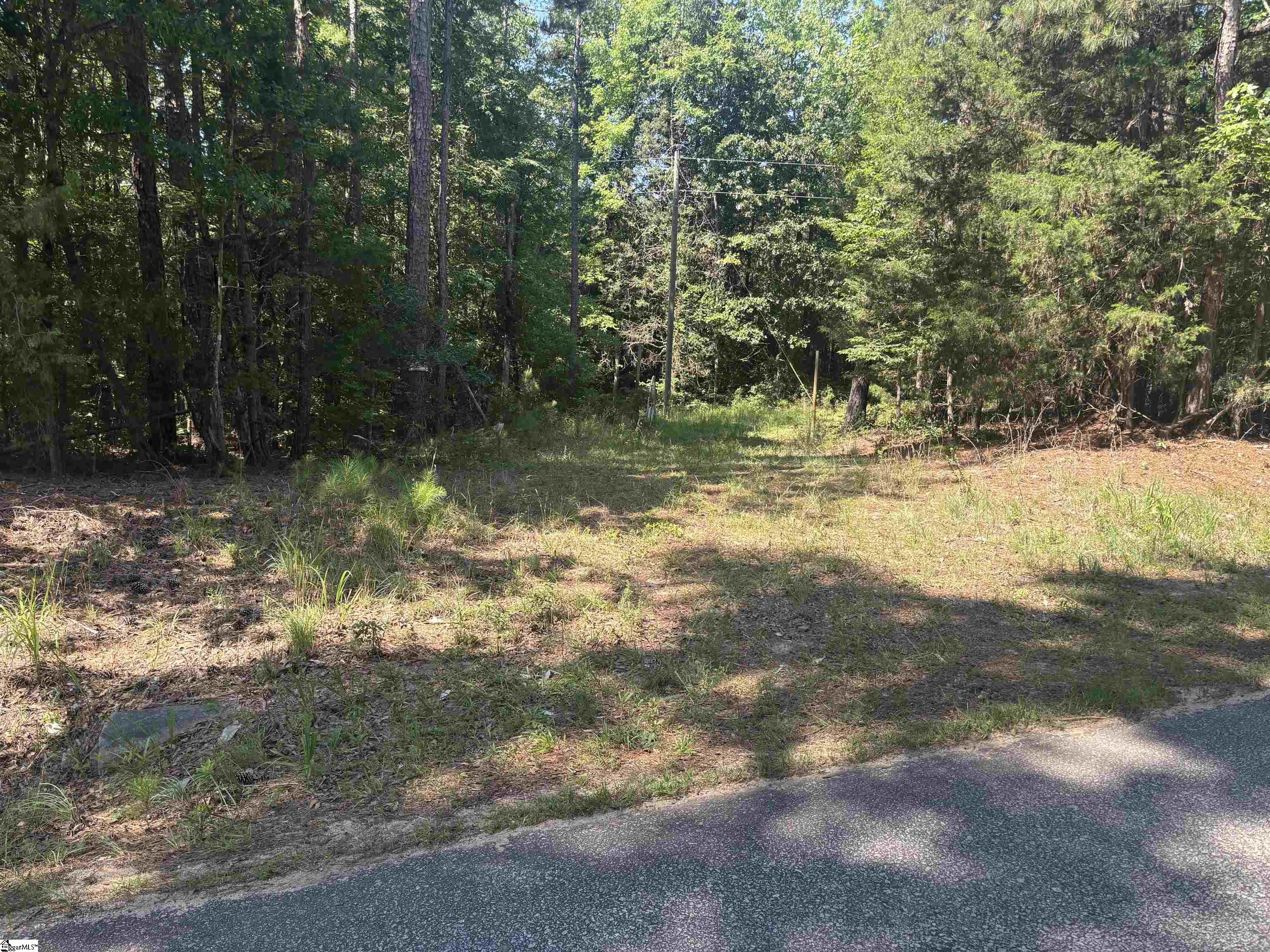 Old Calhoun Falls Road Abbeville, SC 29620