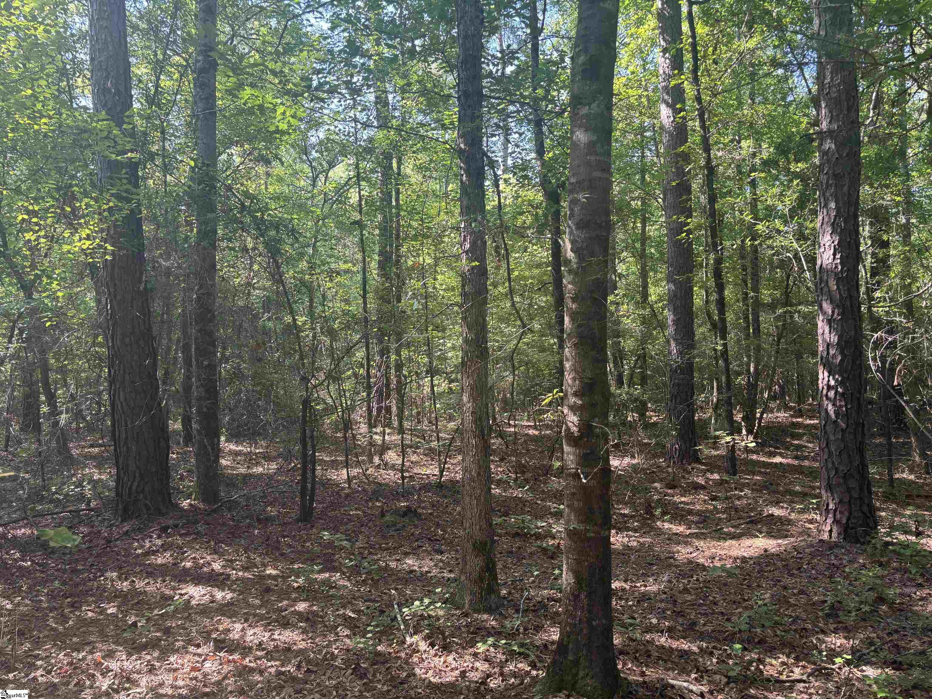 Old Calhoun Falls Road Abbeville, SC 29620