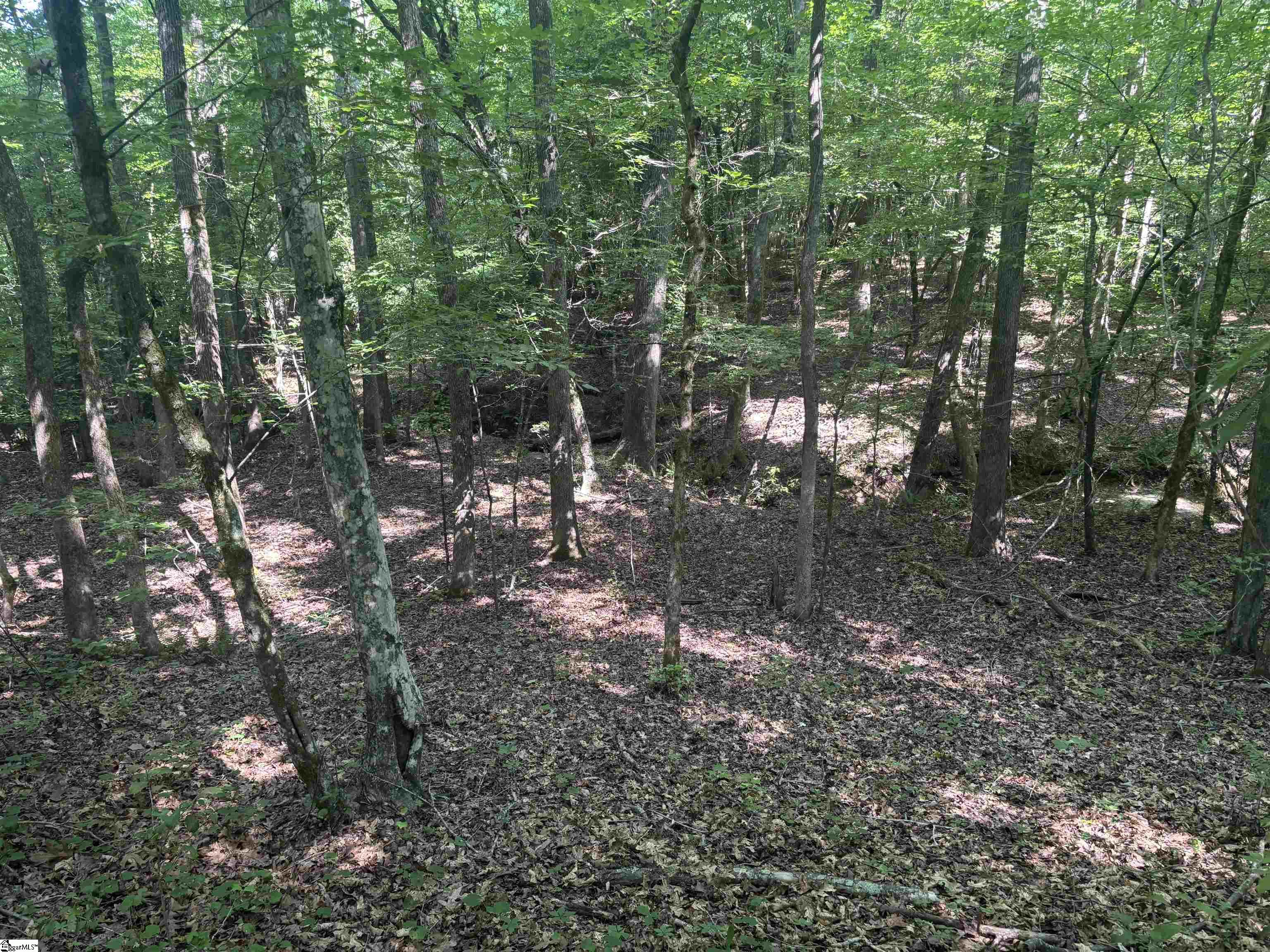 Old Calhoun Falls Road Abbeville, SC 29620