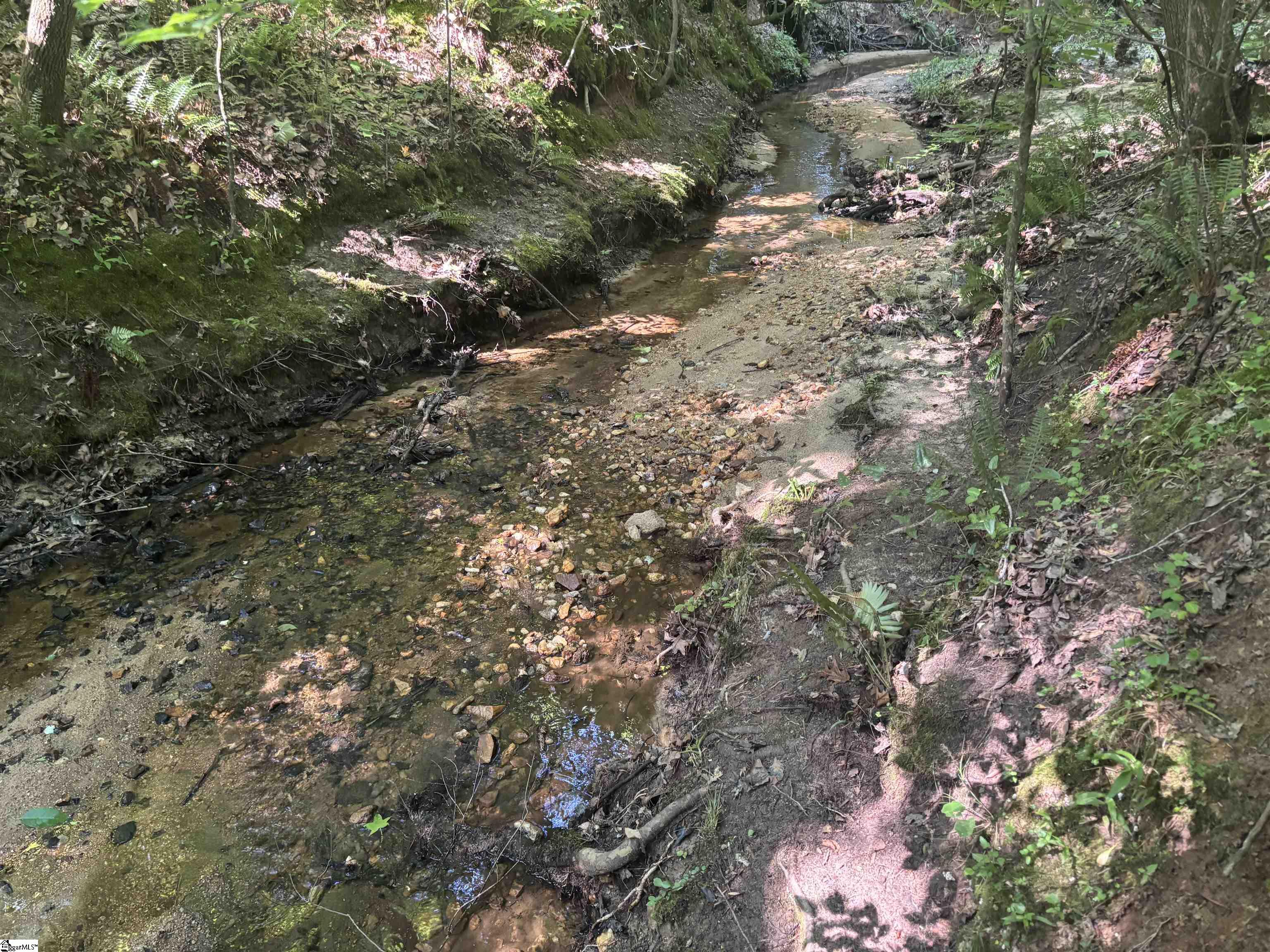 Old Calhoun Falls Road Abbeville, SC 29620
