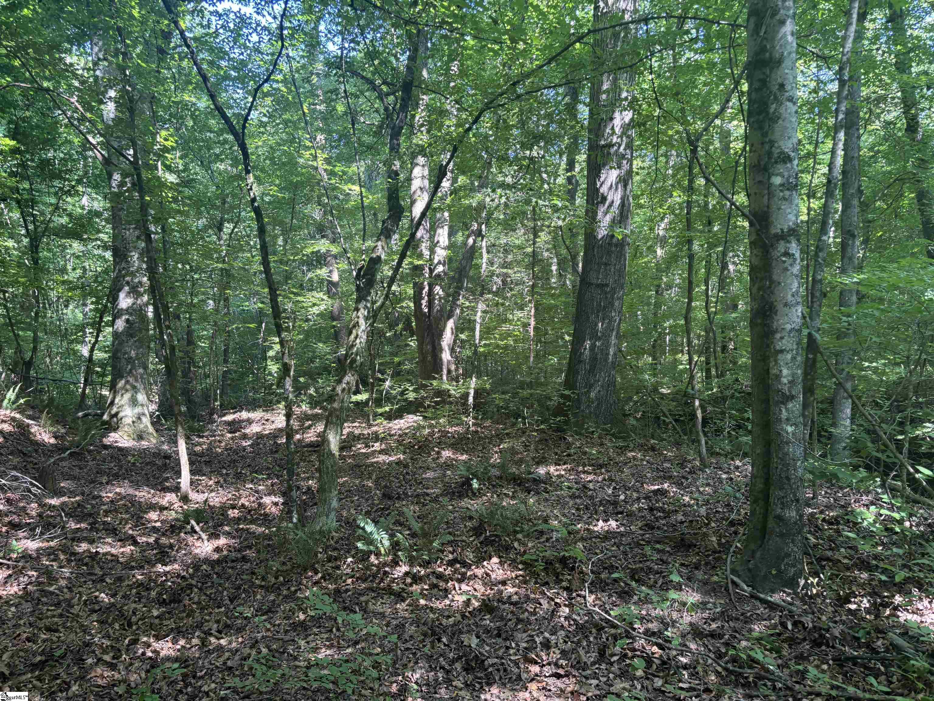Old Calhoun Falls Road Abbeville, SC 29620