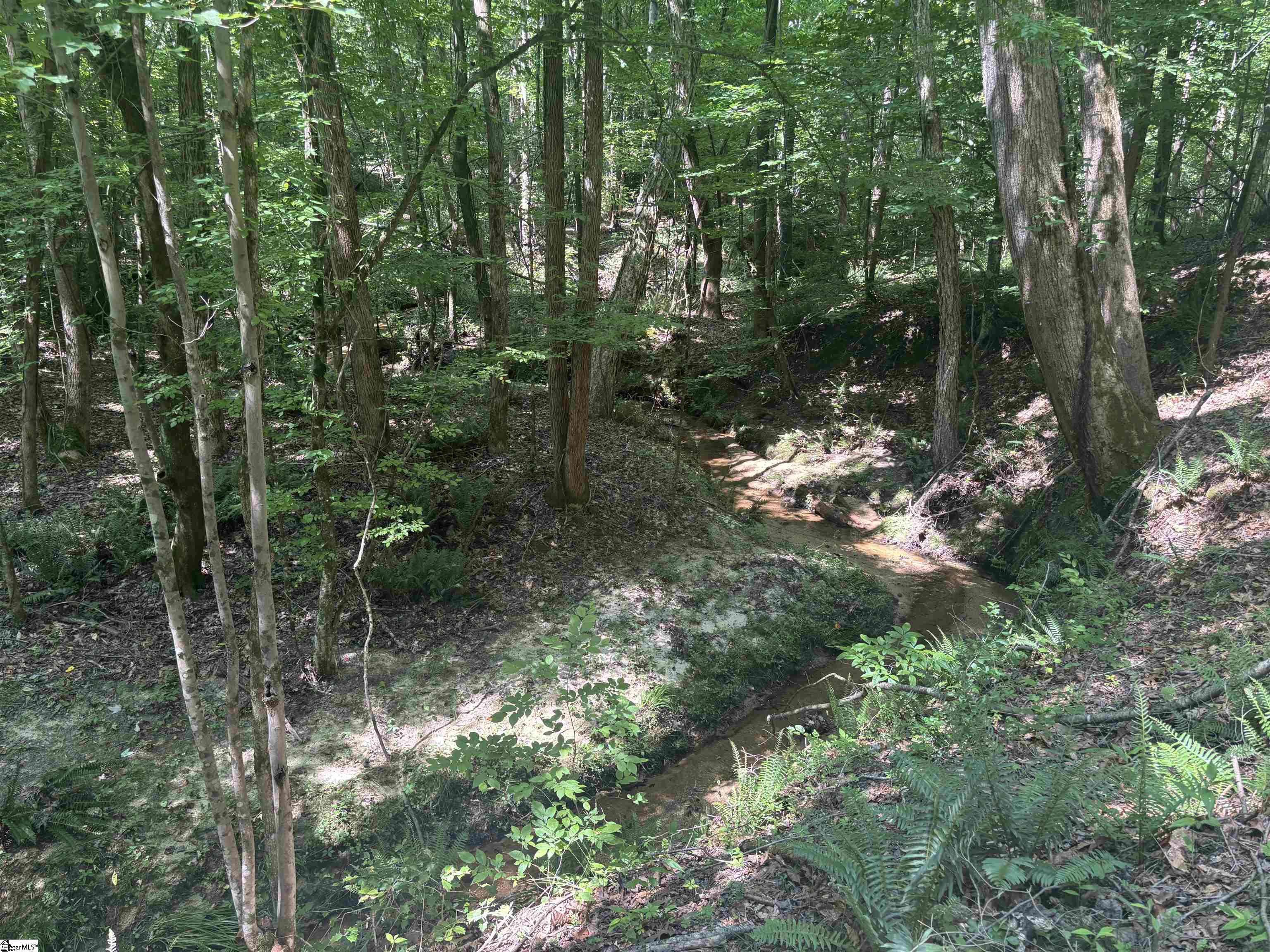 Old Calhoun Falls Road Abbeville, SC 29620