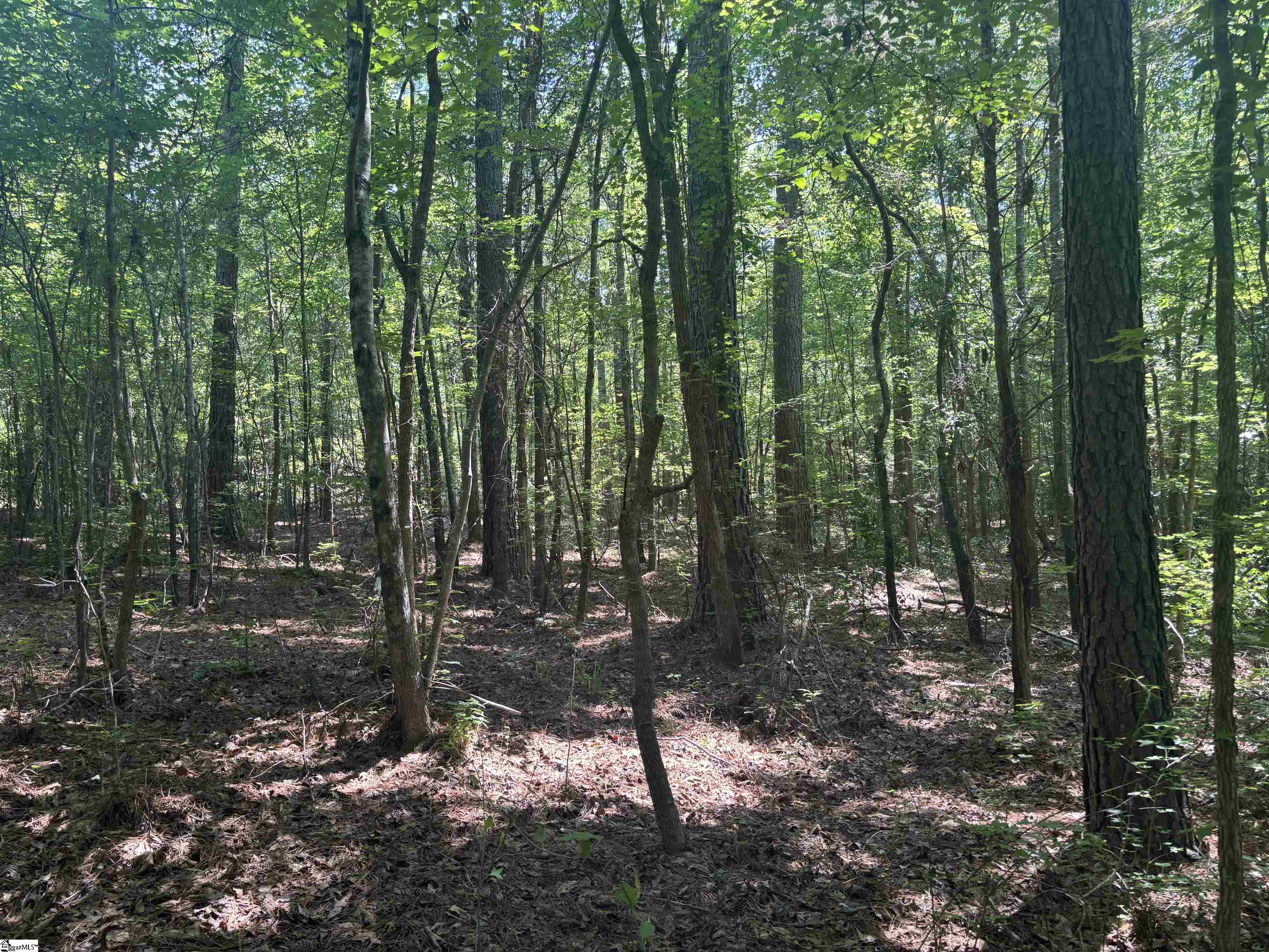 Old Calhoun Falls Road Abbeville, SC 29620