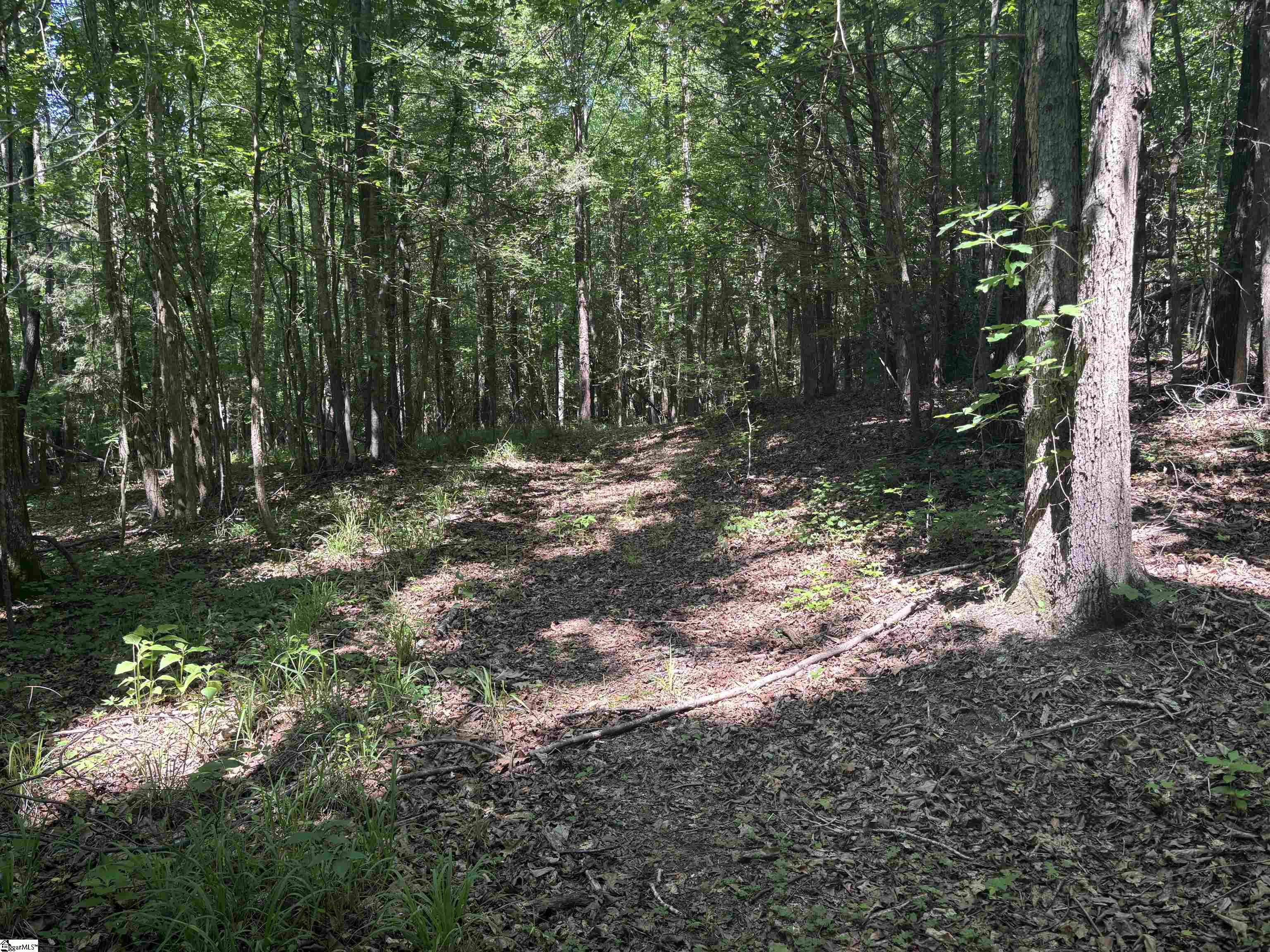 Old Calhoun Falls Road Abbeville, SC 29620