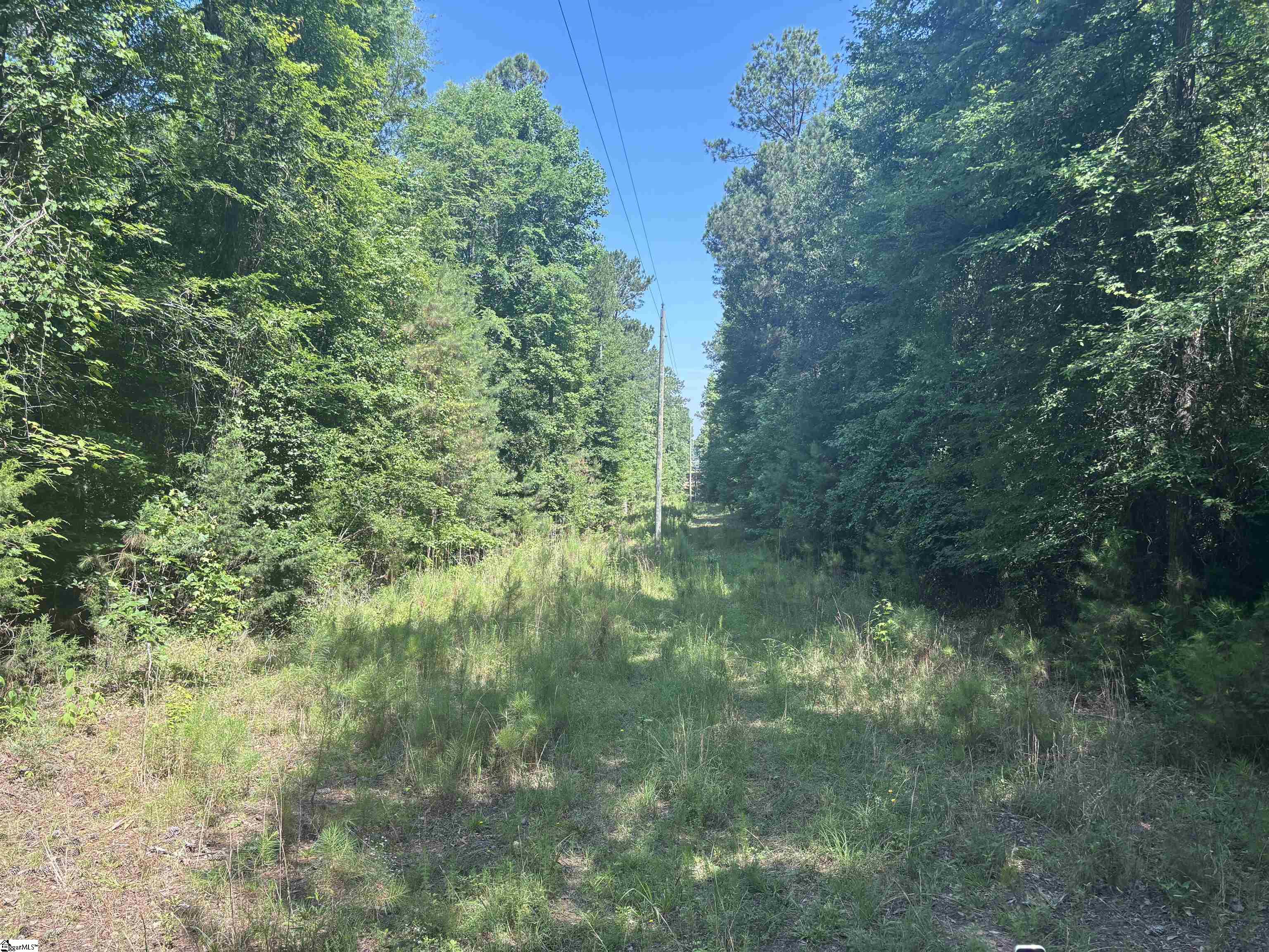 Old Calhoun Falls Road Abbeville, SC 29620