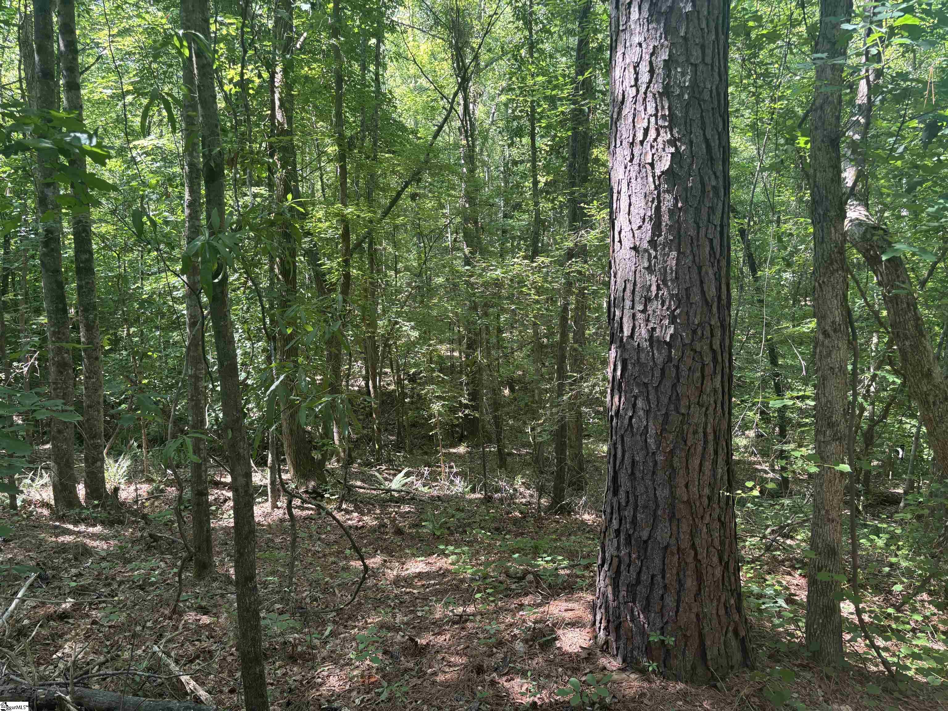 Old Calhoun Falls Road Abbeville, SC 29620