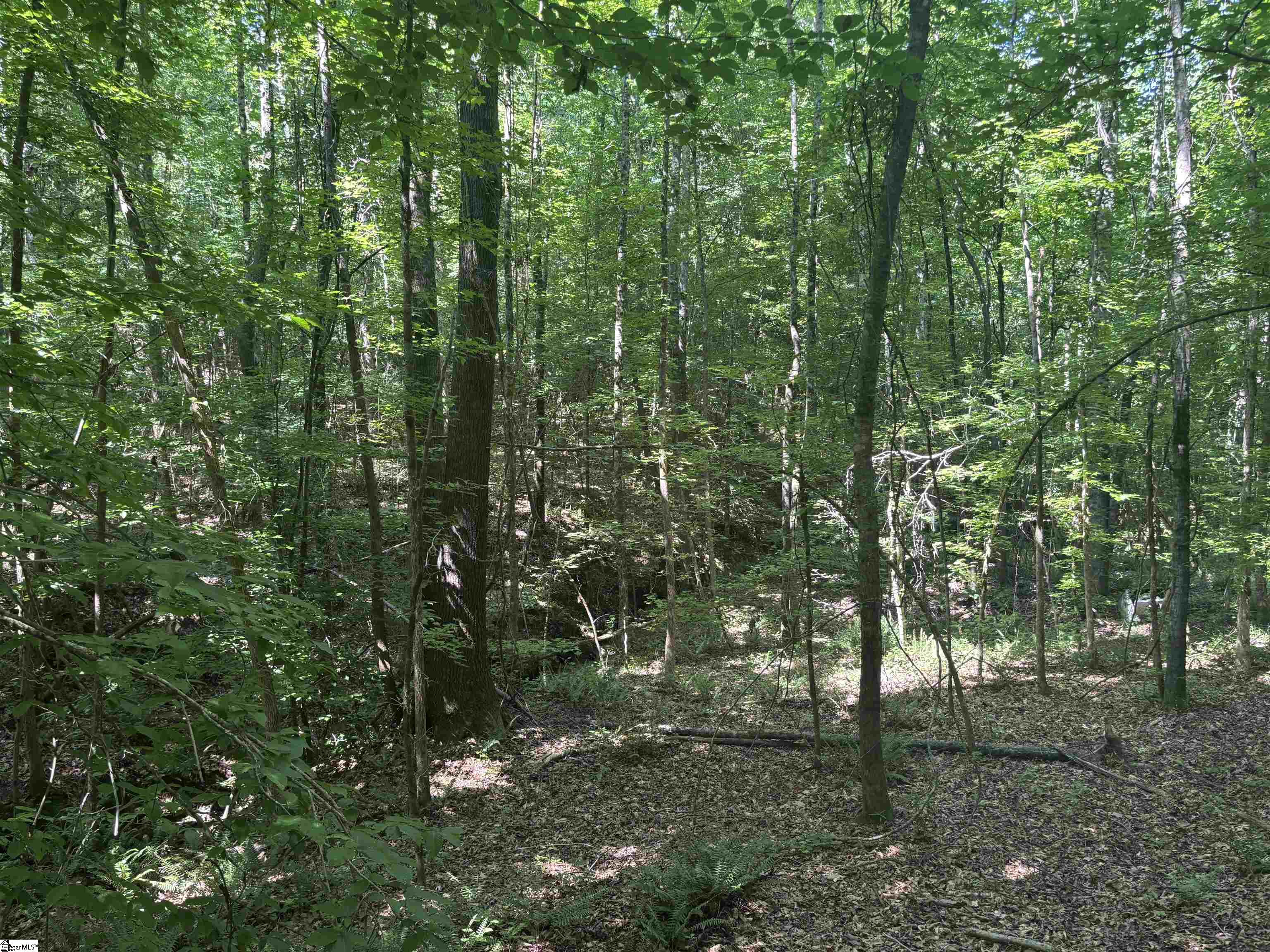 Old Calhoun Falls Road Abbeville, SC 29620