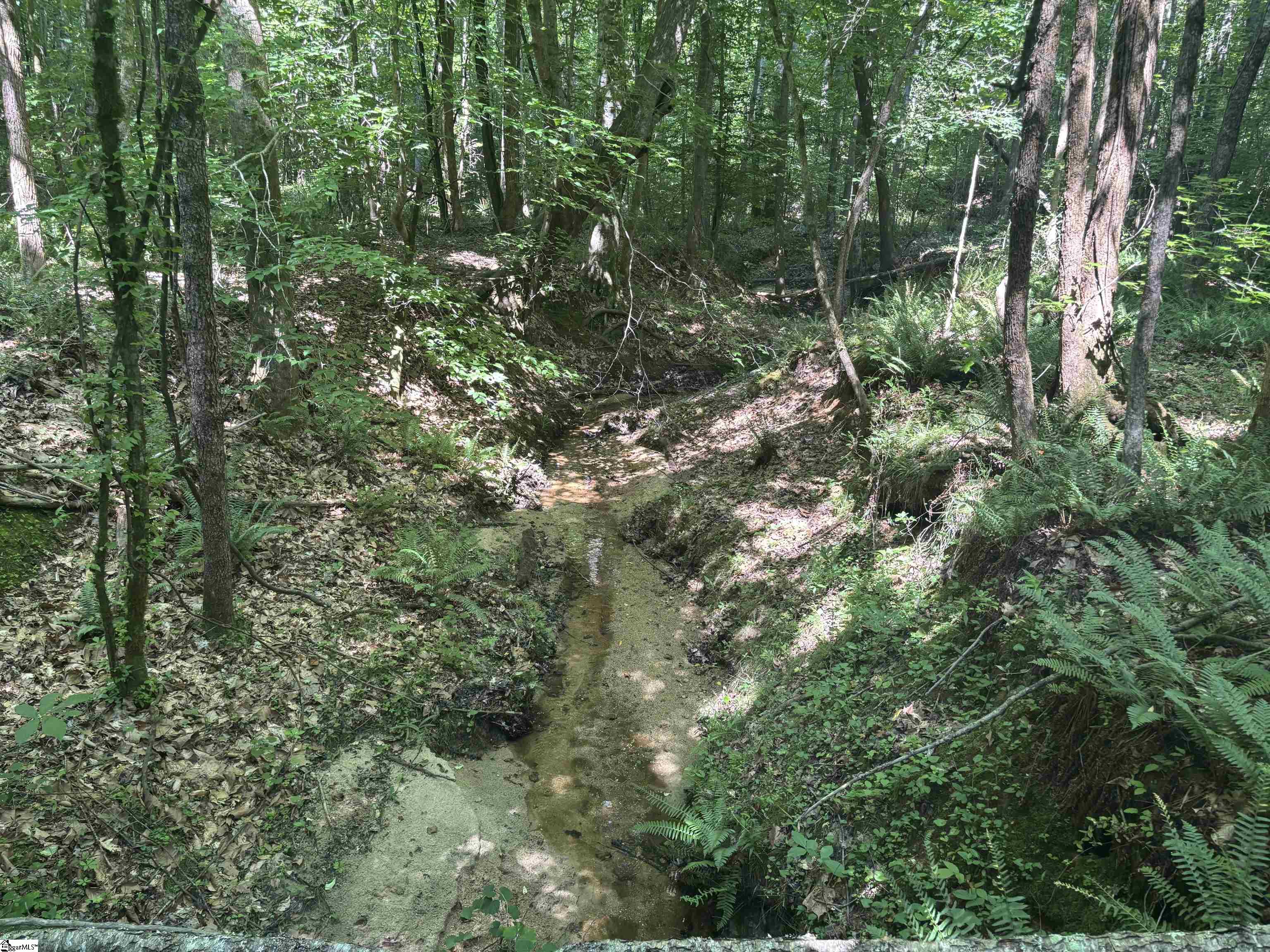 Old Calhoun Falls Road Abbeville, SC 29620
