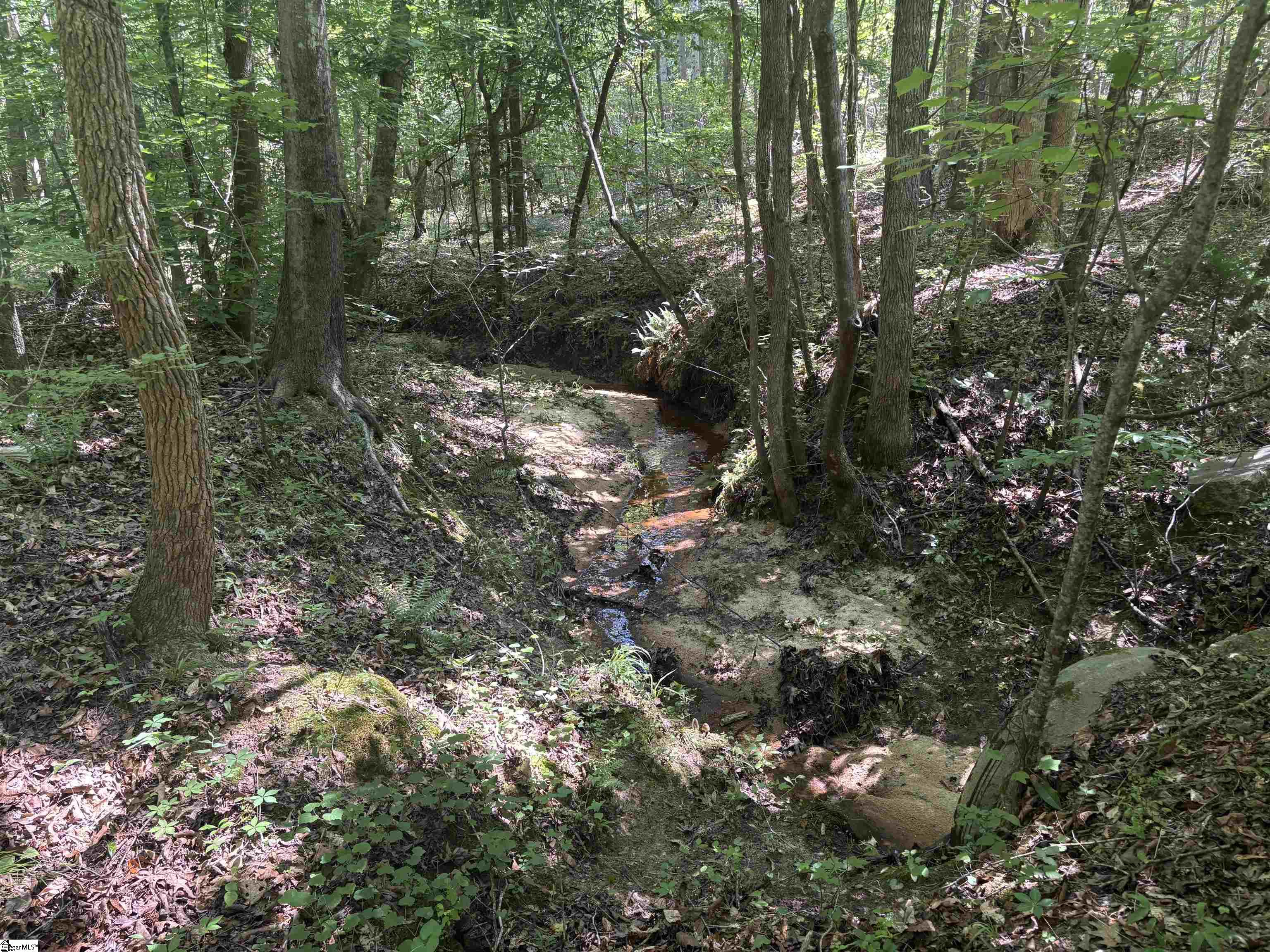 Old Calhoun Falls Road Abbeville, SC 29620