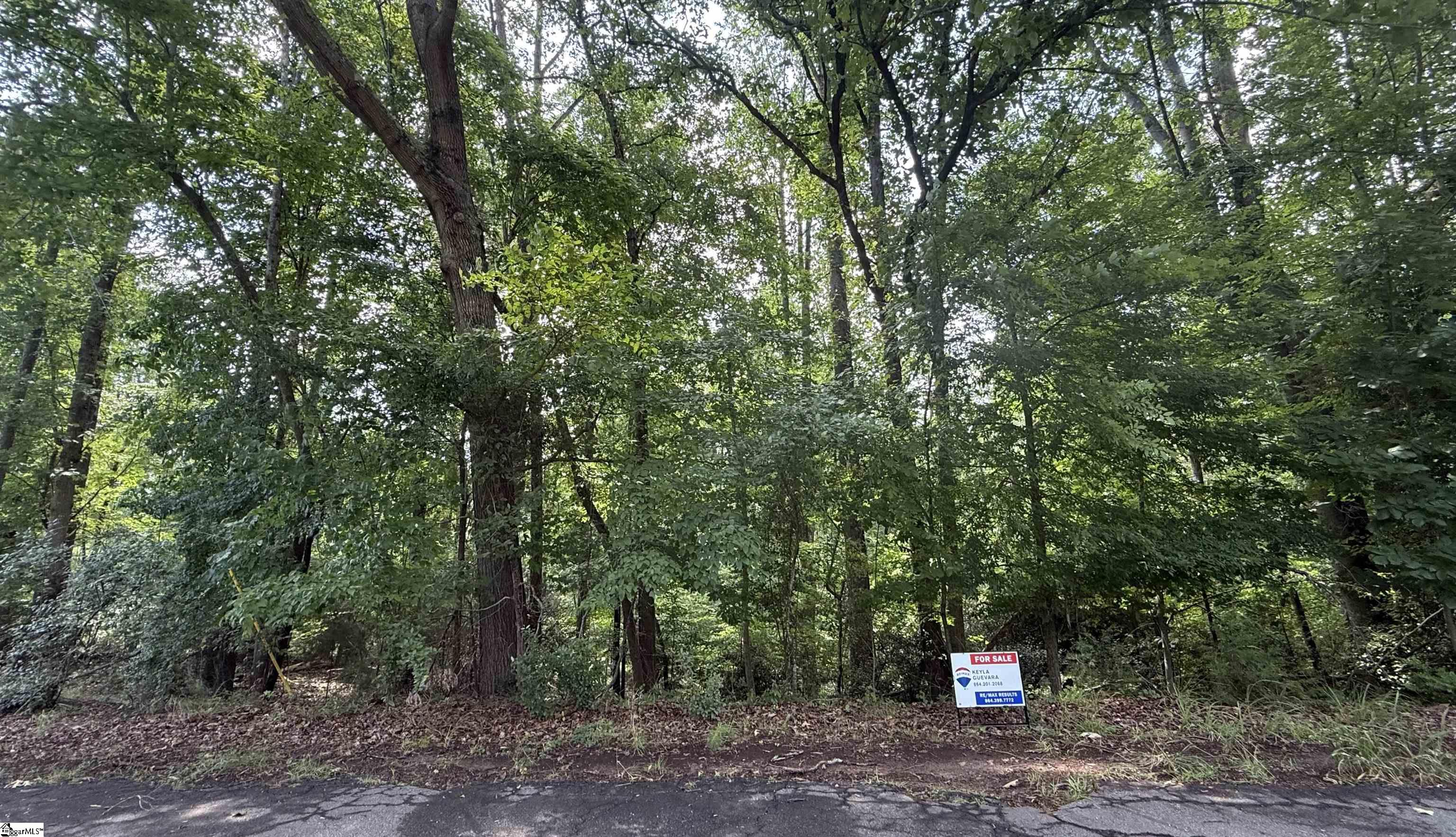 Lot 24 Mountain View Drive Central, SC 29630