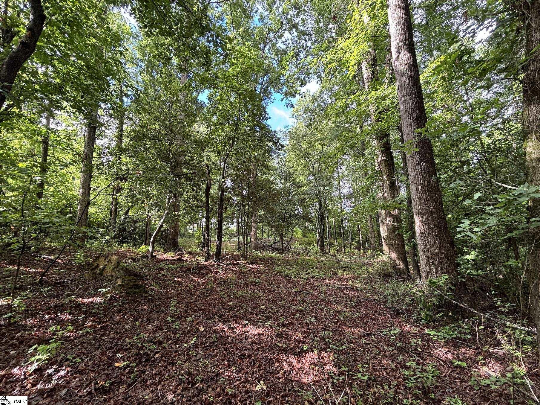 3009 Kemet Way Simpsonville, SC 29681
