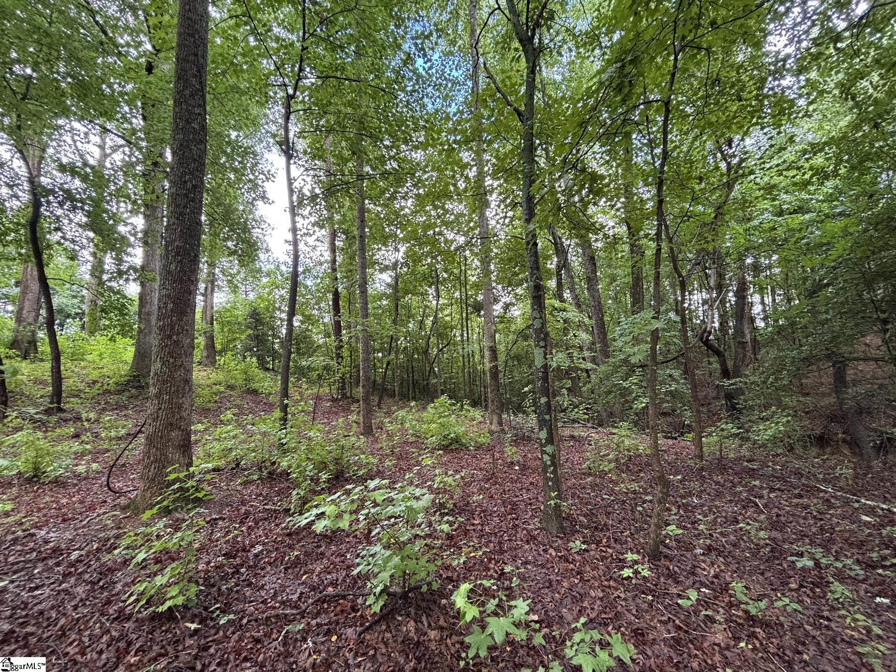 3009 Kemet Way Simpsonville, SC 29681