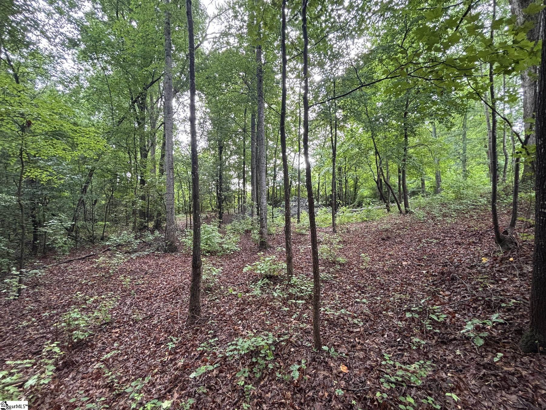 3009 Kemet Way Simpsonville, SC 29681