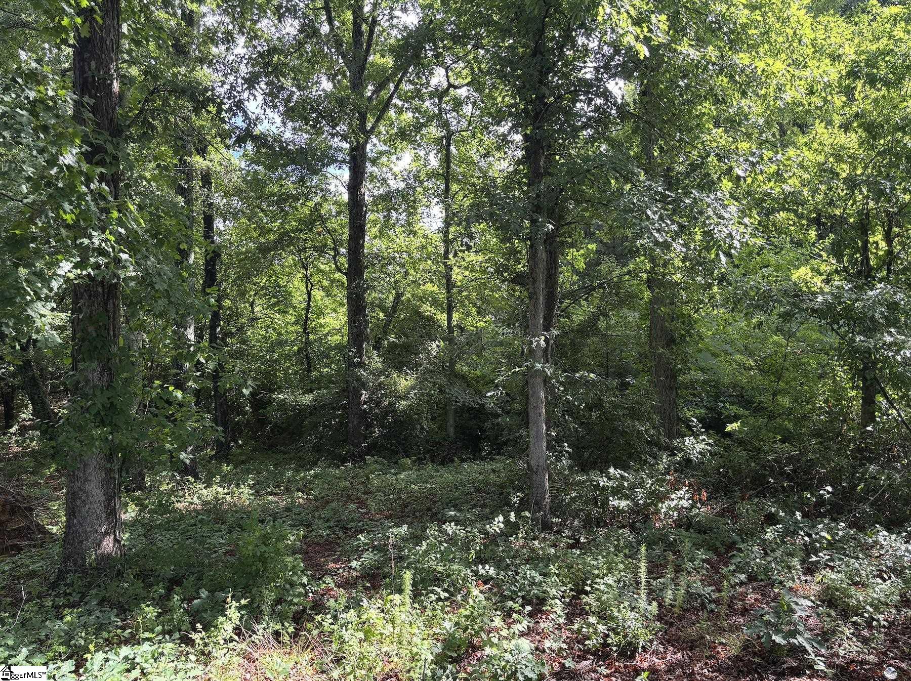 3009 Kemet Way Simpsonville, SC 29681
