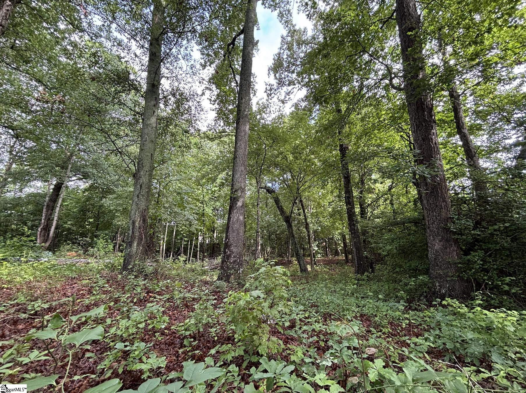 3009 Kemet Way Simpsonville, SC 29681