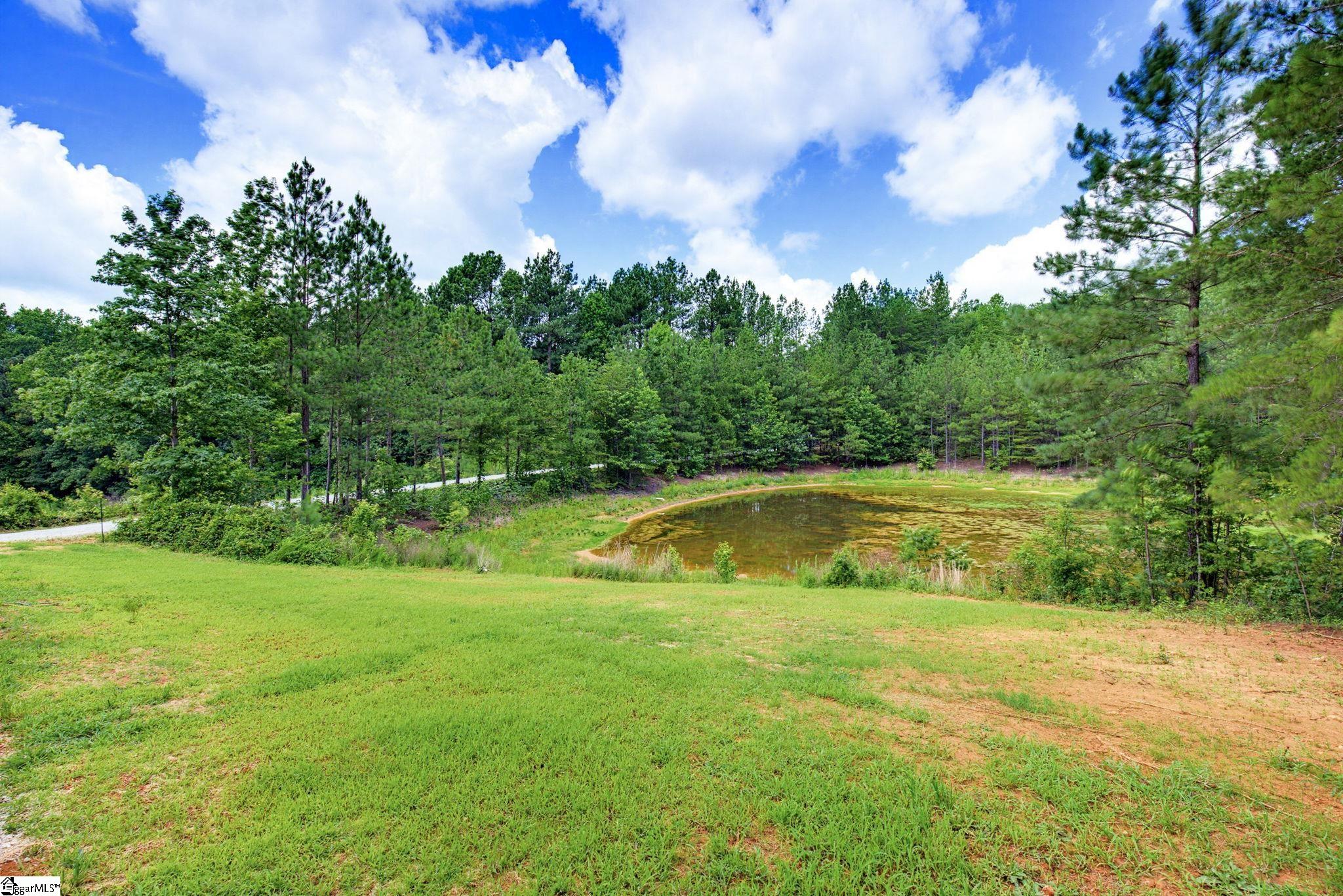 1217 Pleasant Hill Road Landrum, SC 29356-9599