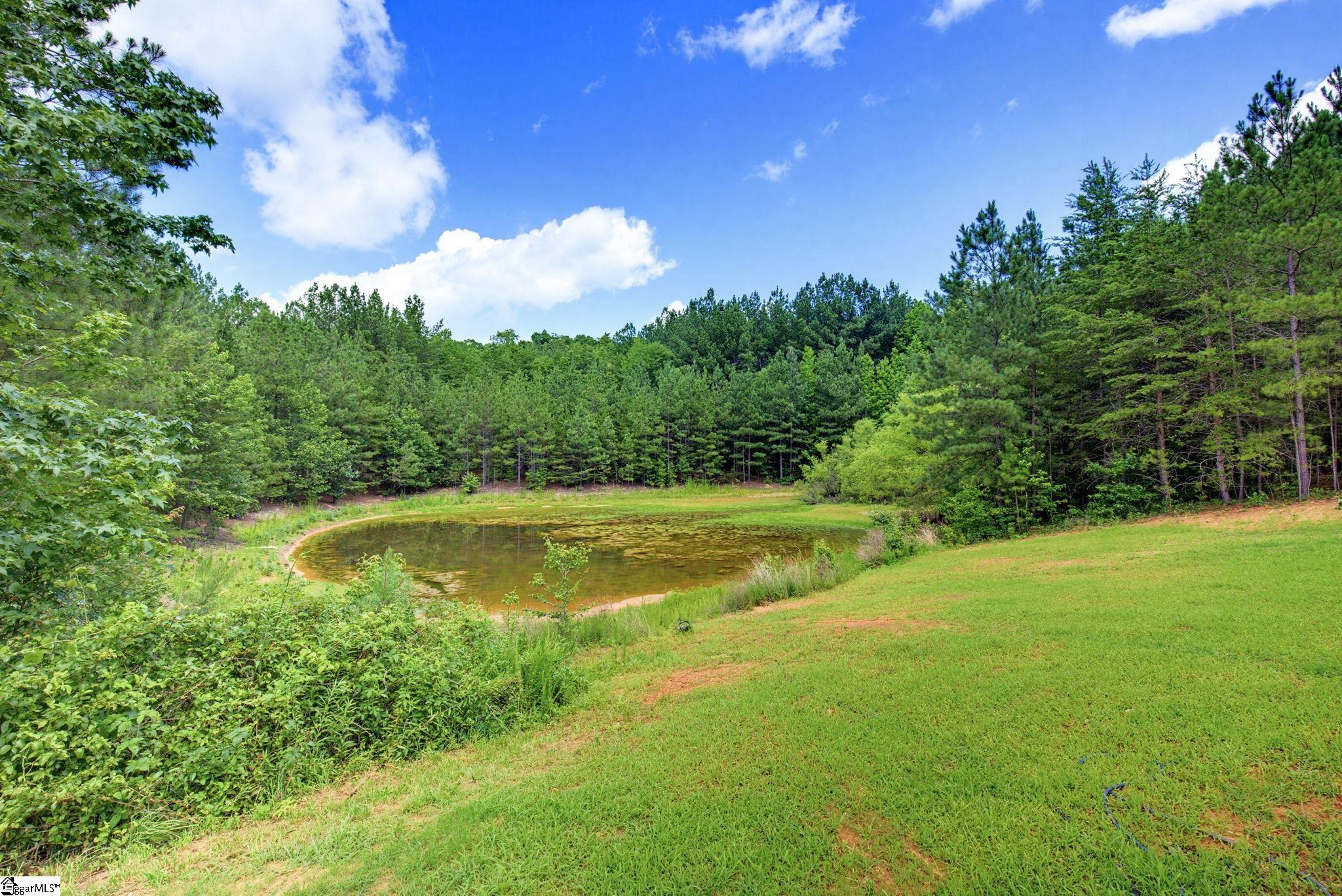 1217 Pleasant Hill Road Landrum, SC 29356-9599