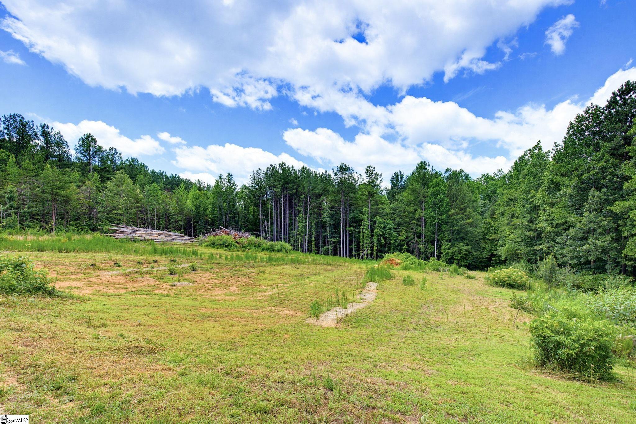 1217 Pleasant Hill Road Landrum, SC 29356-9599