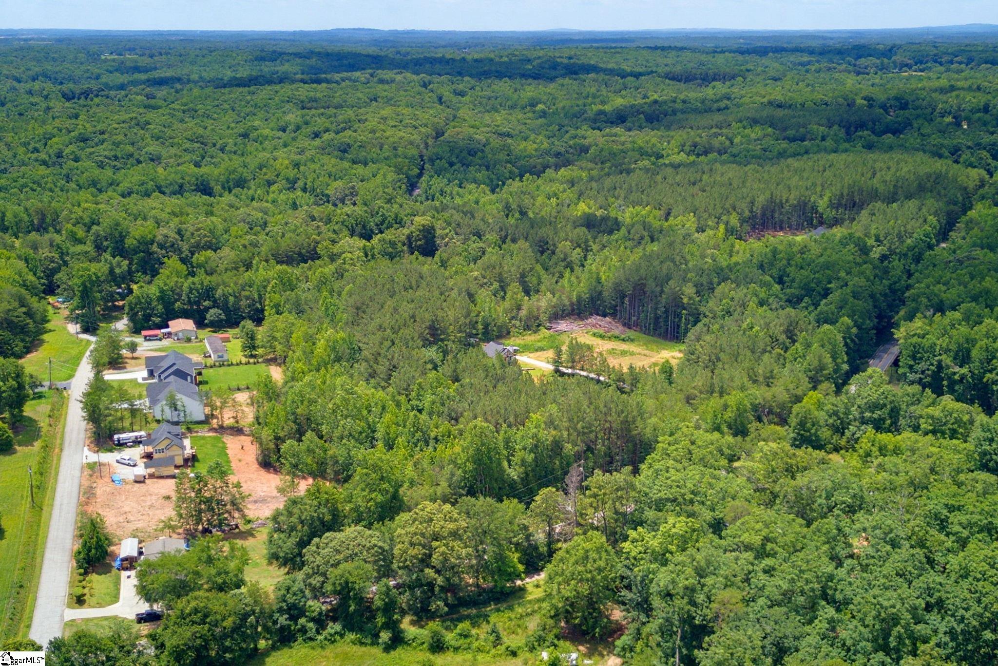 1217 Pleasant Hill Road Landrum, SC 29356-9599