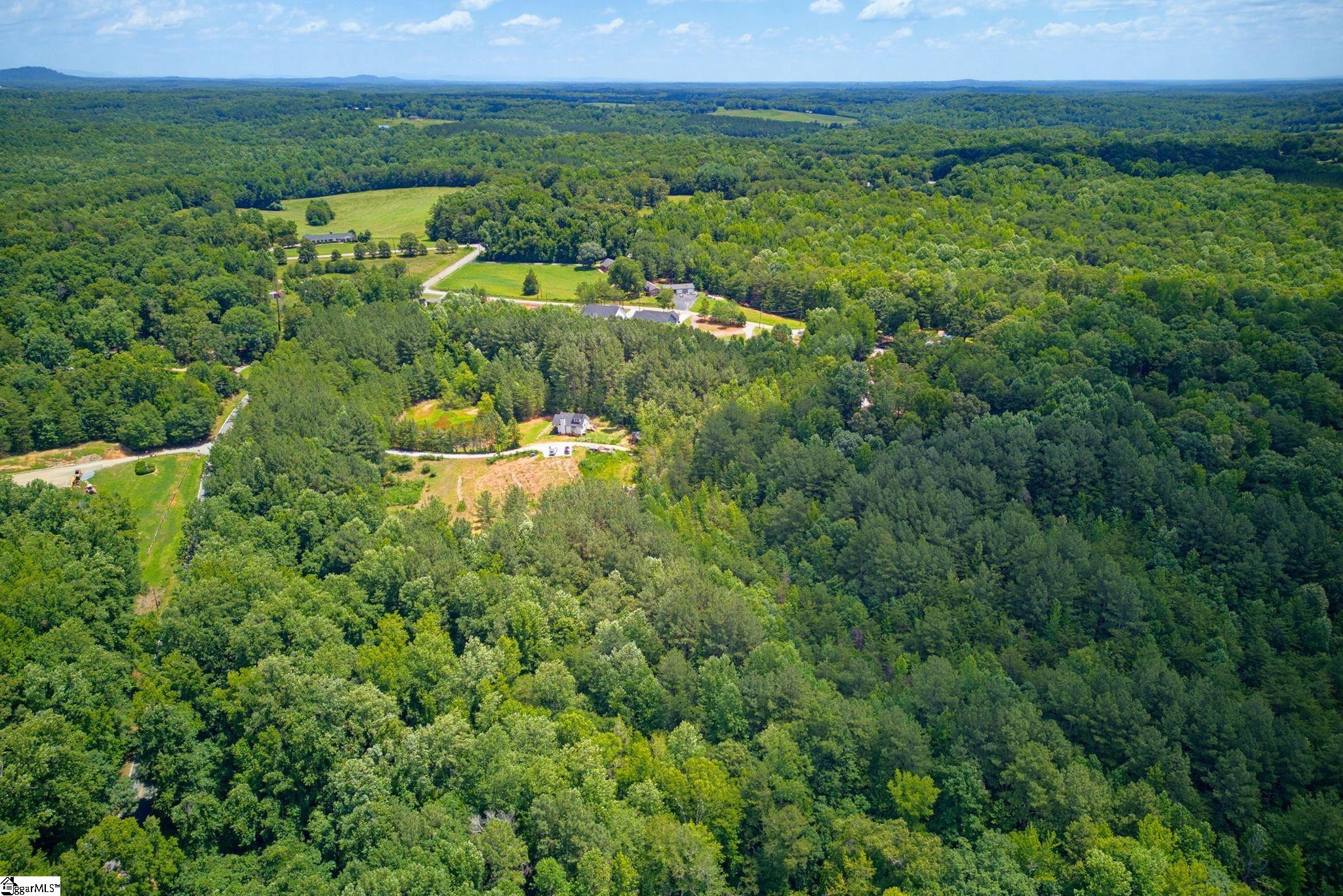 1217 Pleasant Hill Road Landrum, SC 29356-9599