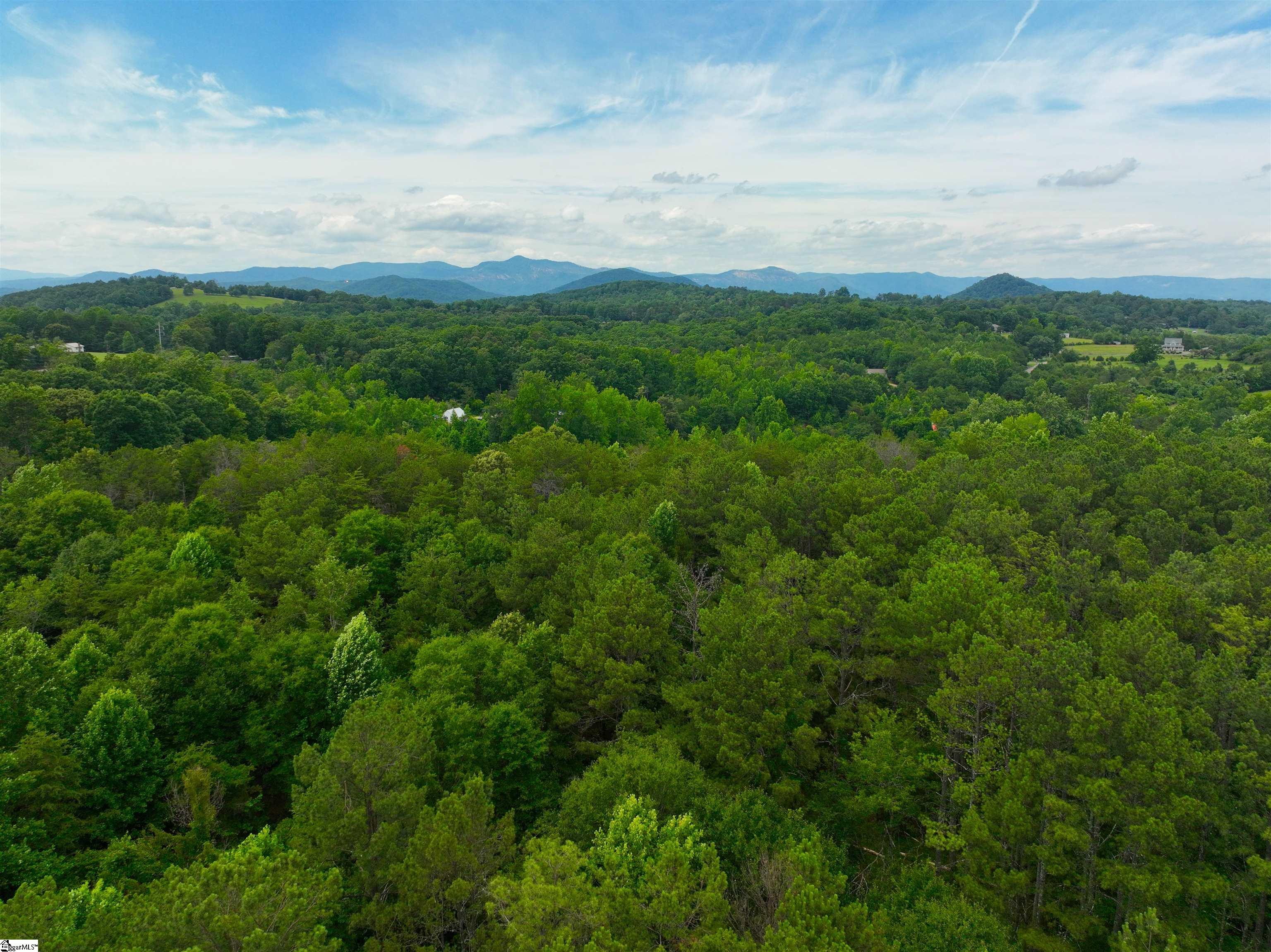225 Meadow Brook Lane Pickens, SC 29671