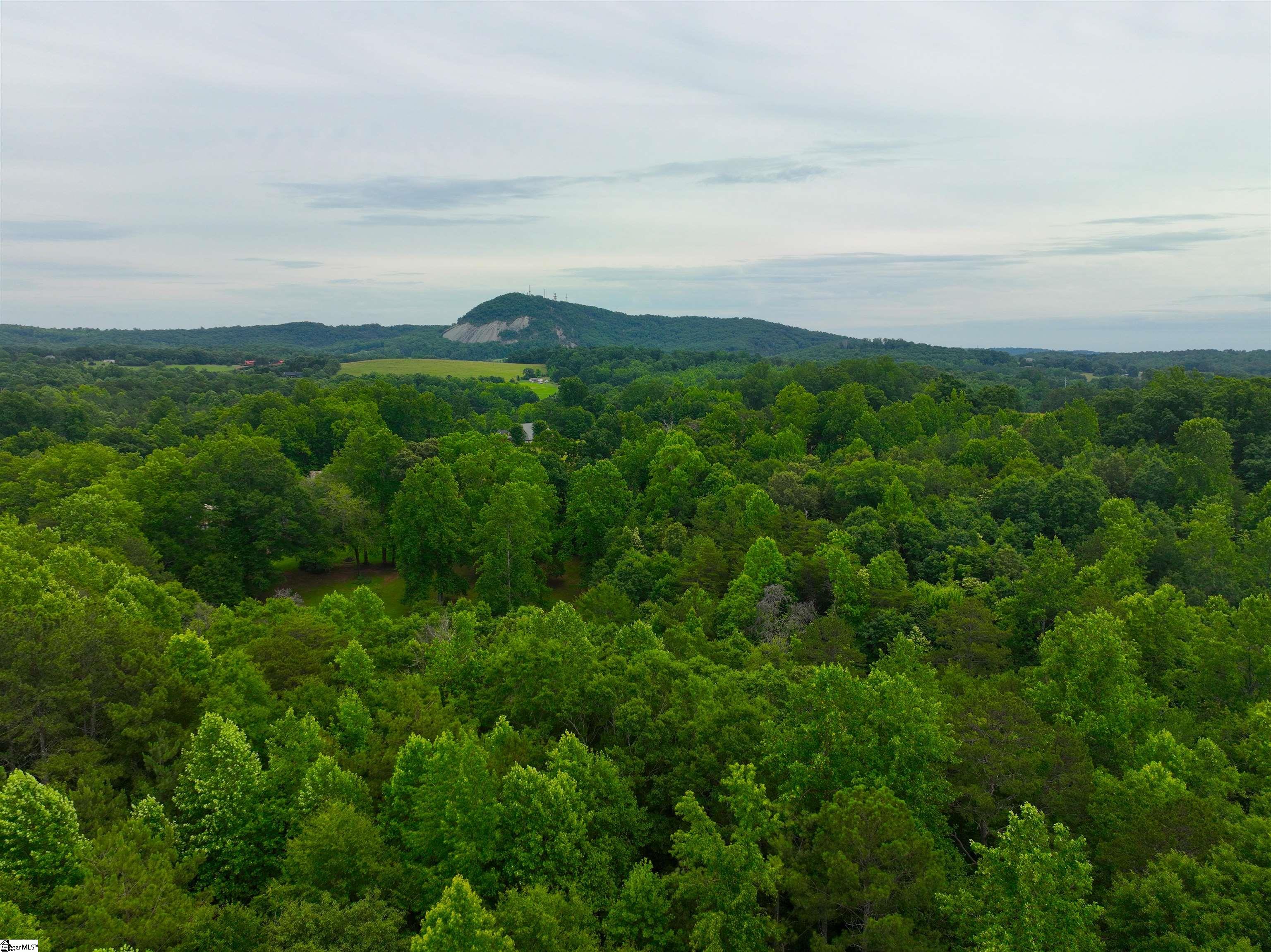 225 Meadow Brook Lane Pickens, SC 29671