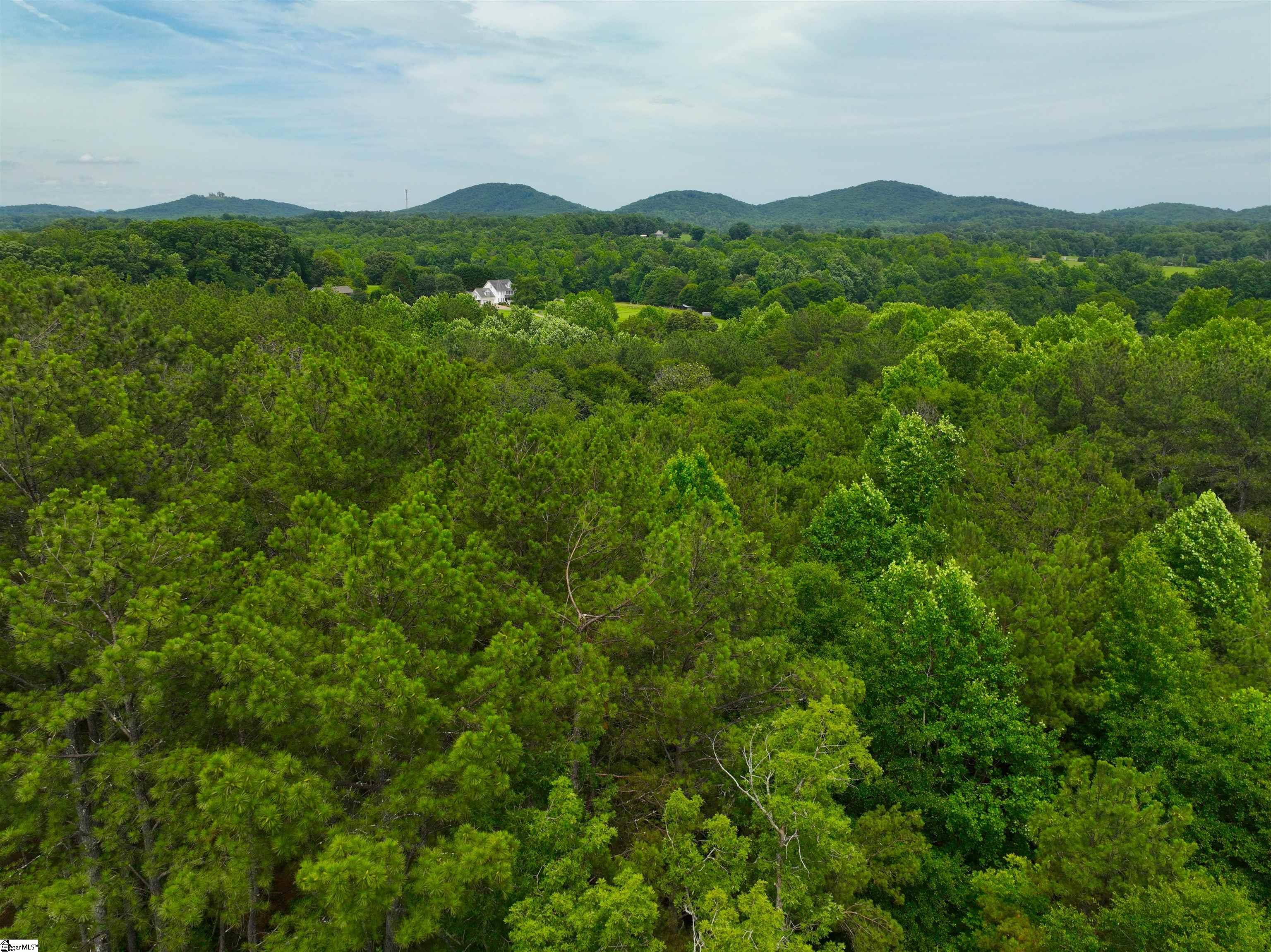 225 Meadow Brook Lane Pickens, SC 29671