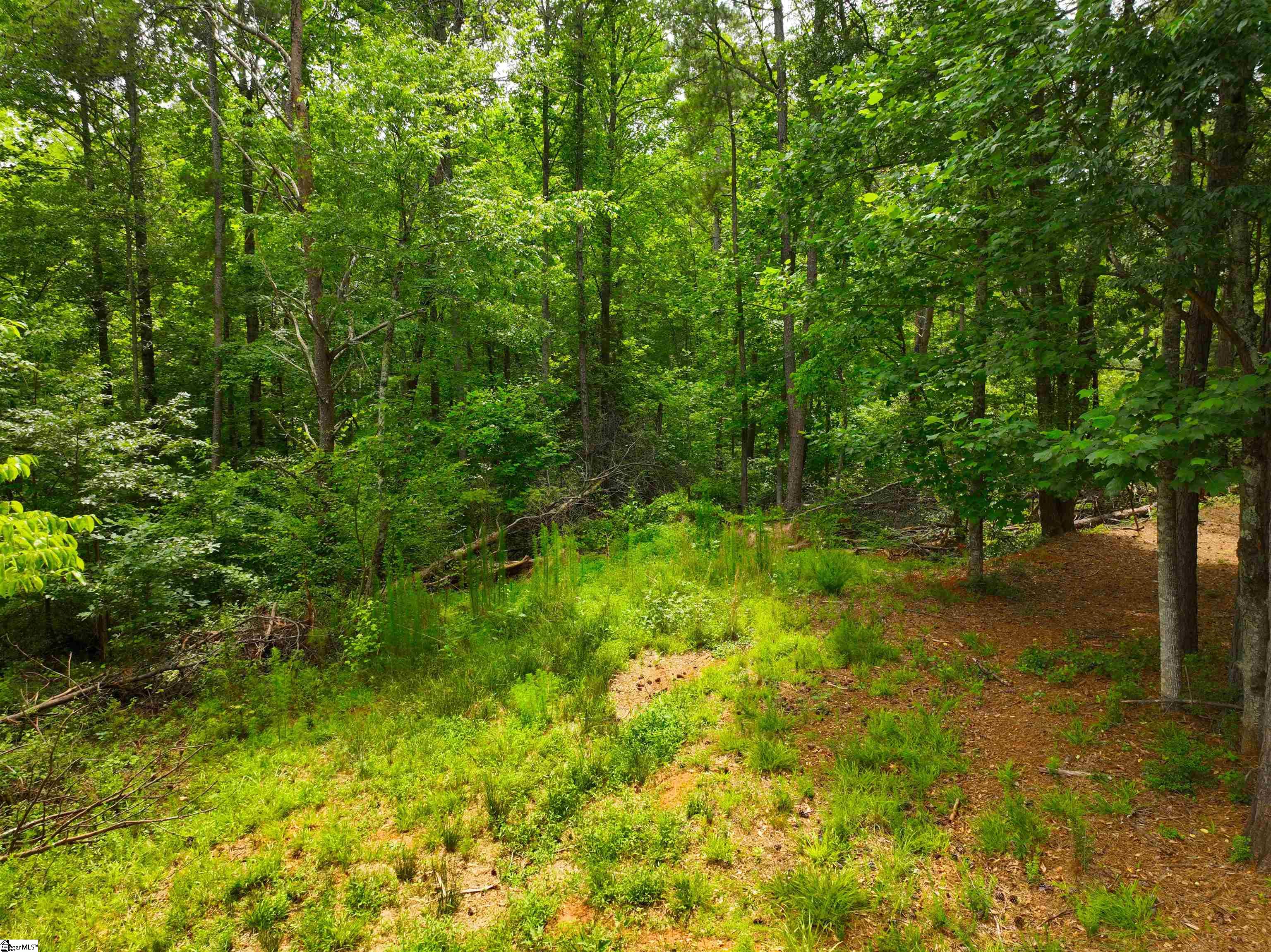225 Meadow Brook Lane Pickens, SC 29671