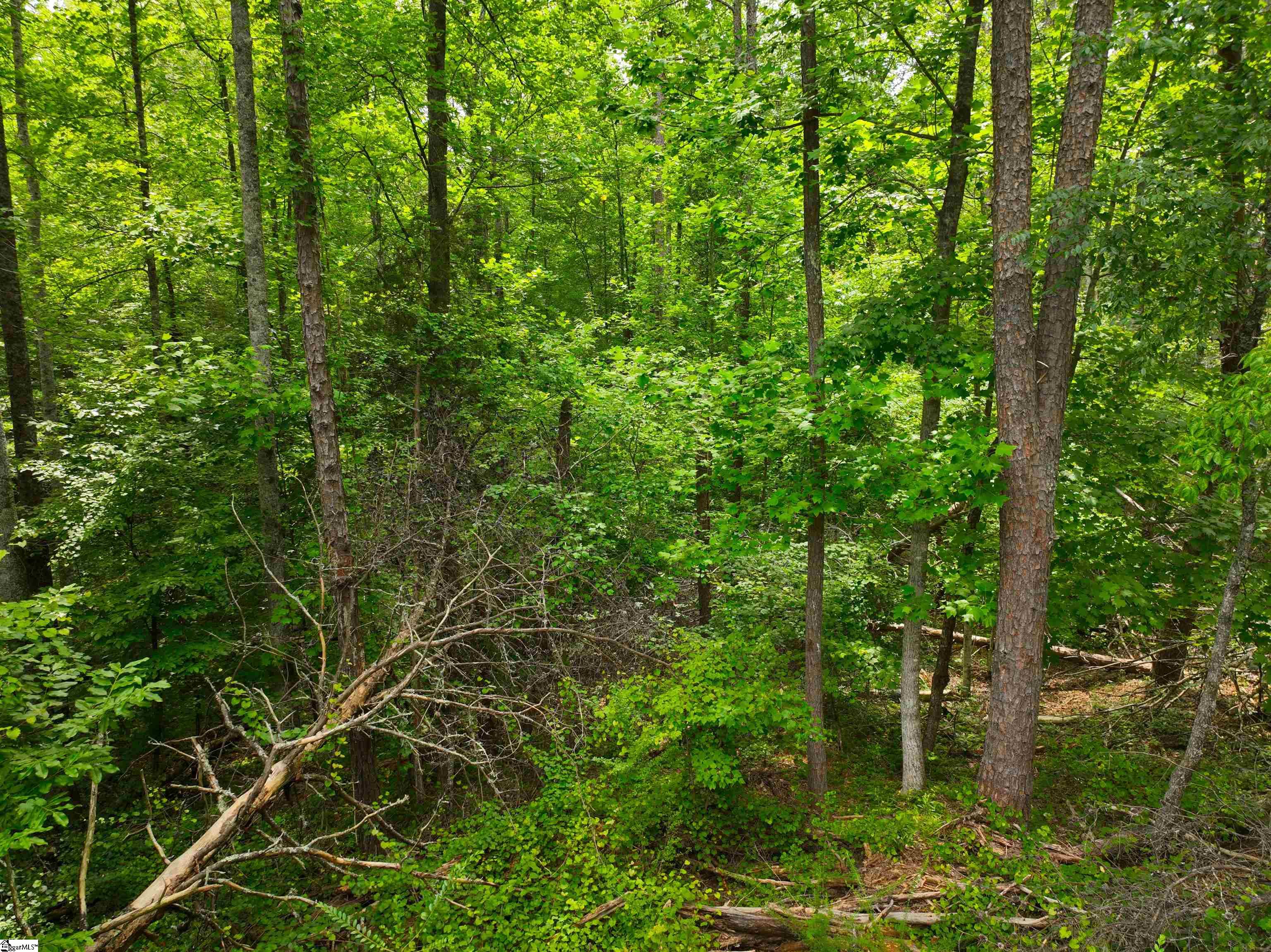 225 Meadow Brook Lane Pickens, SC 29671