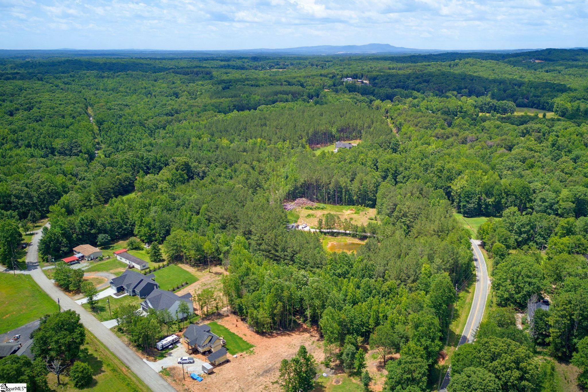 1217 Pleasant Hill Road Landrum, SC 29356-9599