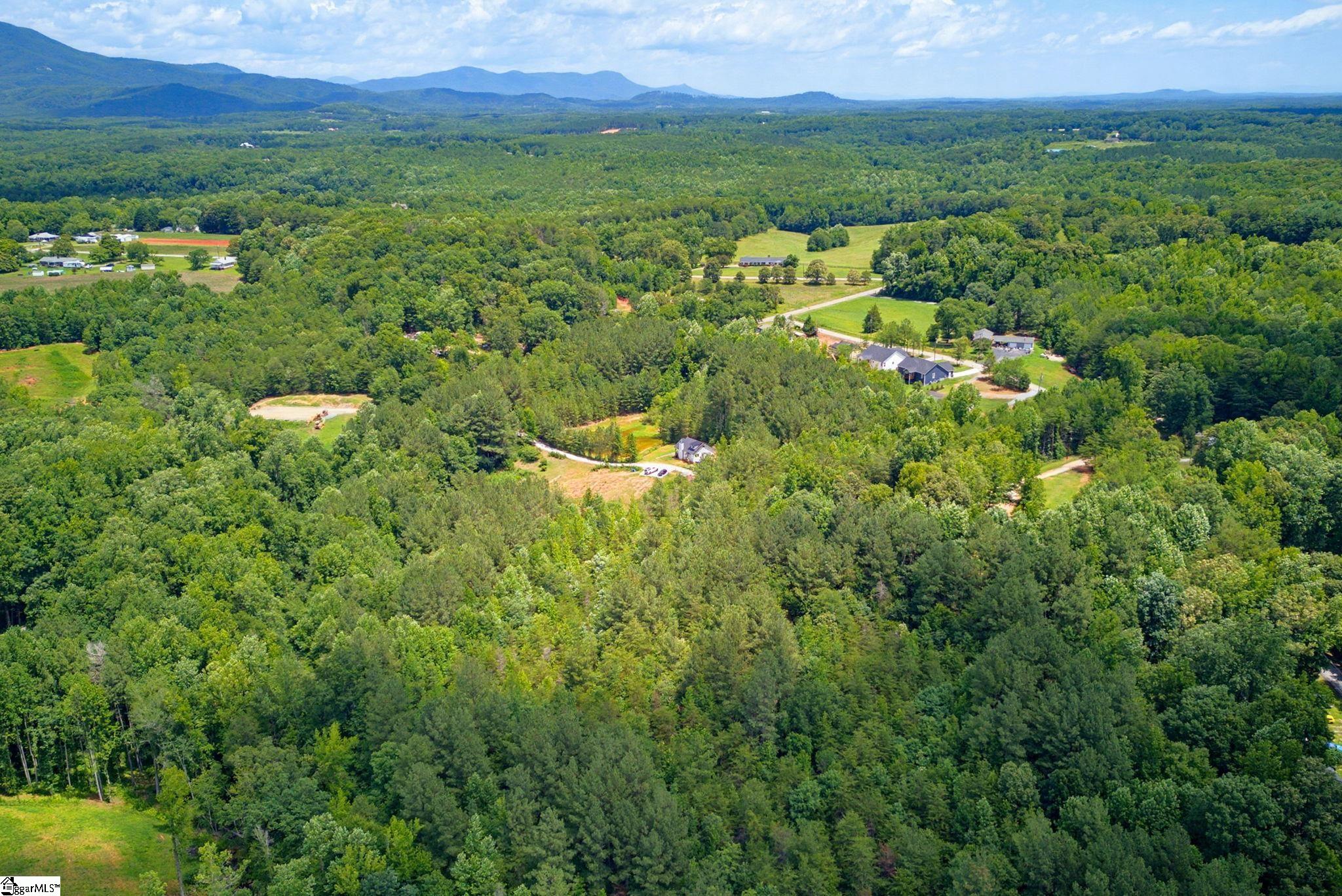 1217 Pleasant Hill Road Landrum, SC 29356-9599