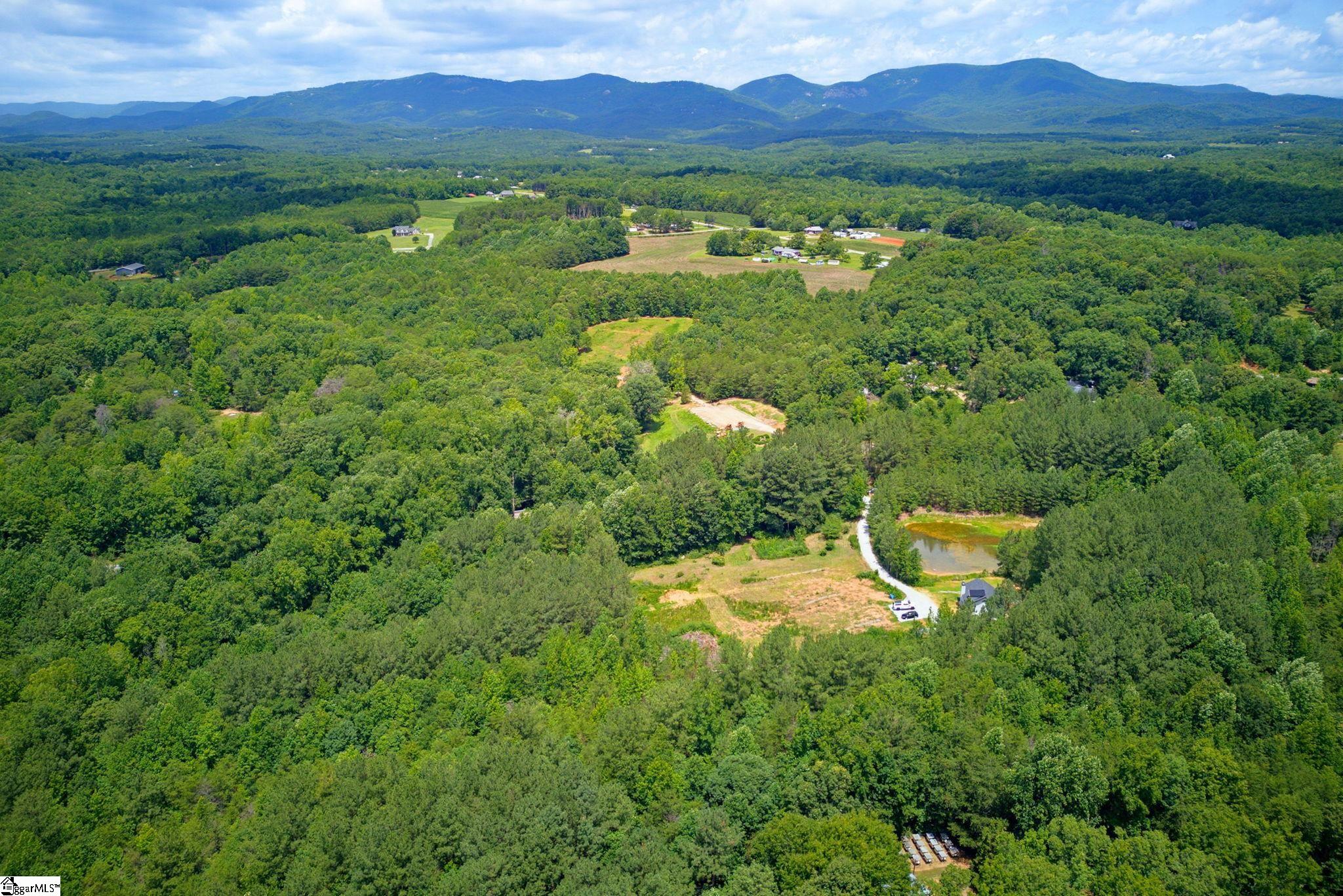 1217 Pleasant Hill Road Landrum, SC 29356-9599
