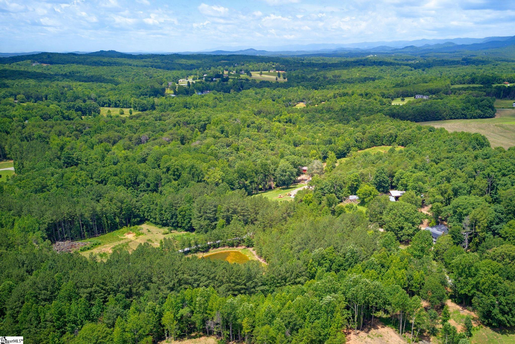 1217 Pleasant Hill Road Landrum, SC 29356-9599