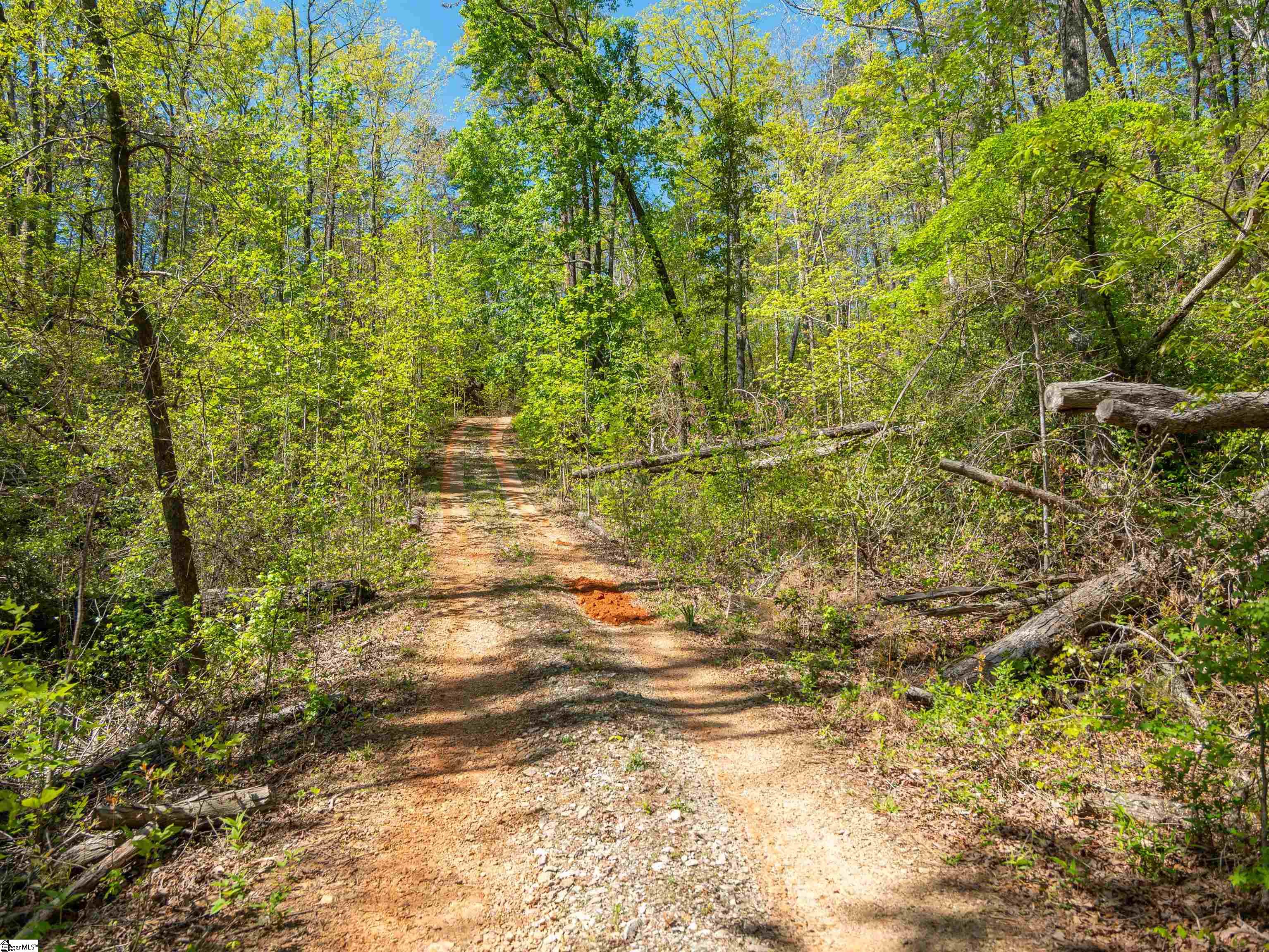187 Shepherd Springs Drive Cleveland, SC 29635