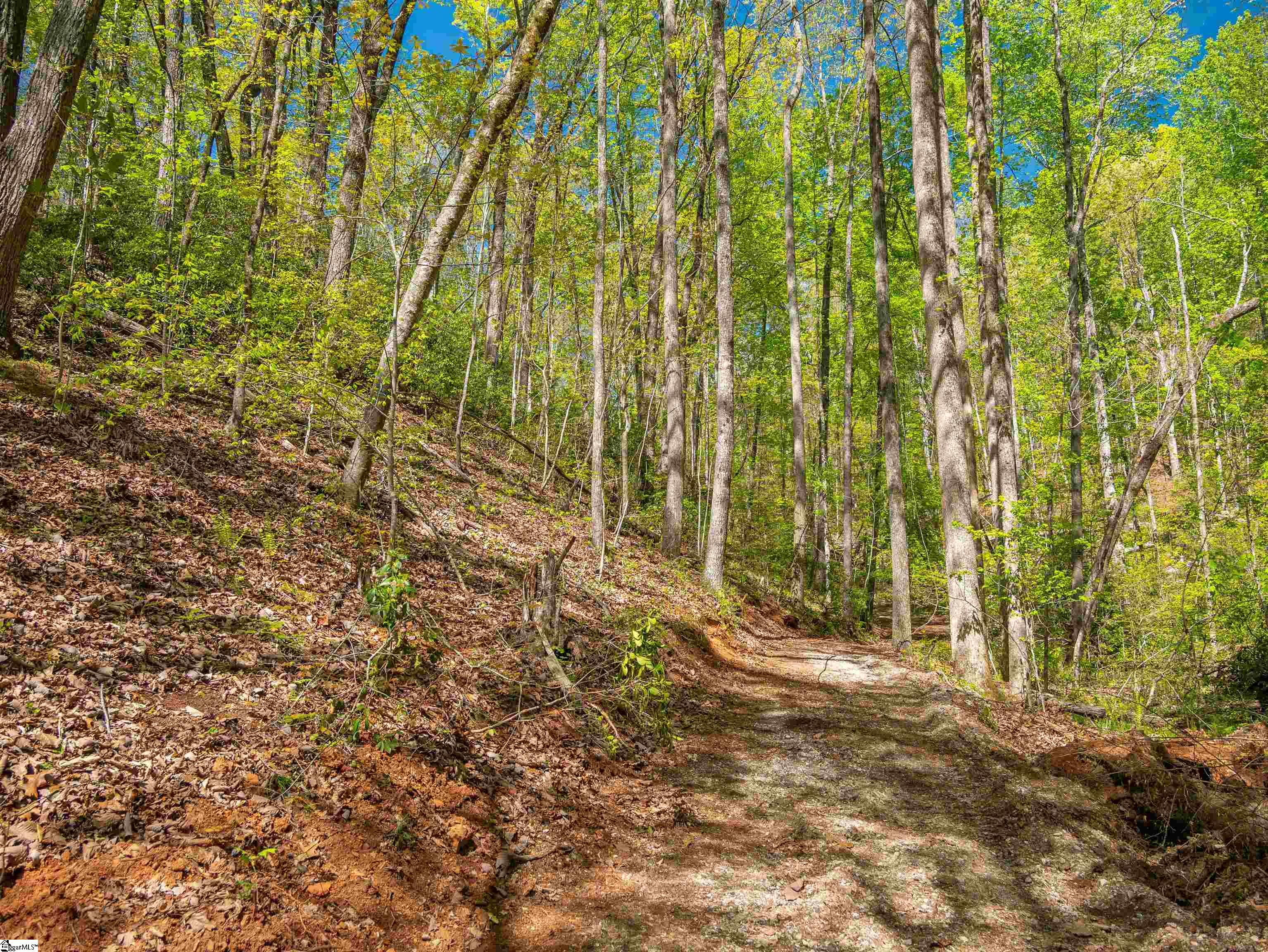 187 Shepherd Springs Drive Cleveland, SC 29635