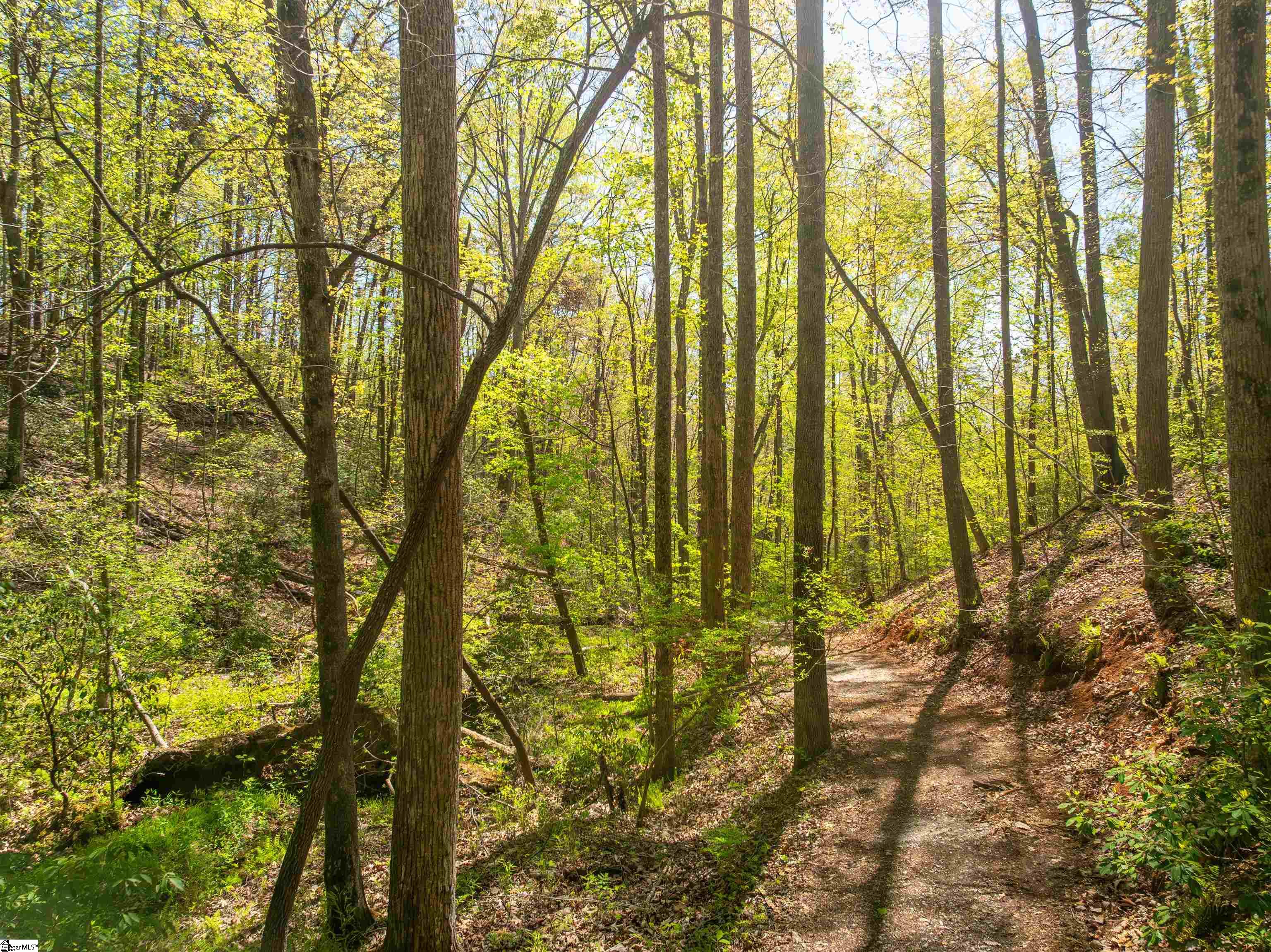 187 Shepherd Springs Drive Cleveland, SC 29635