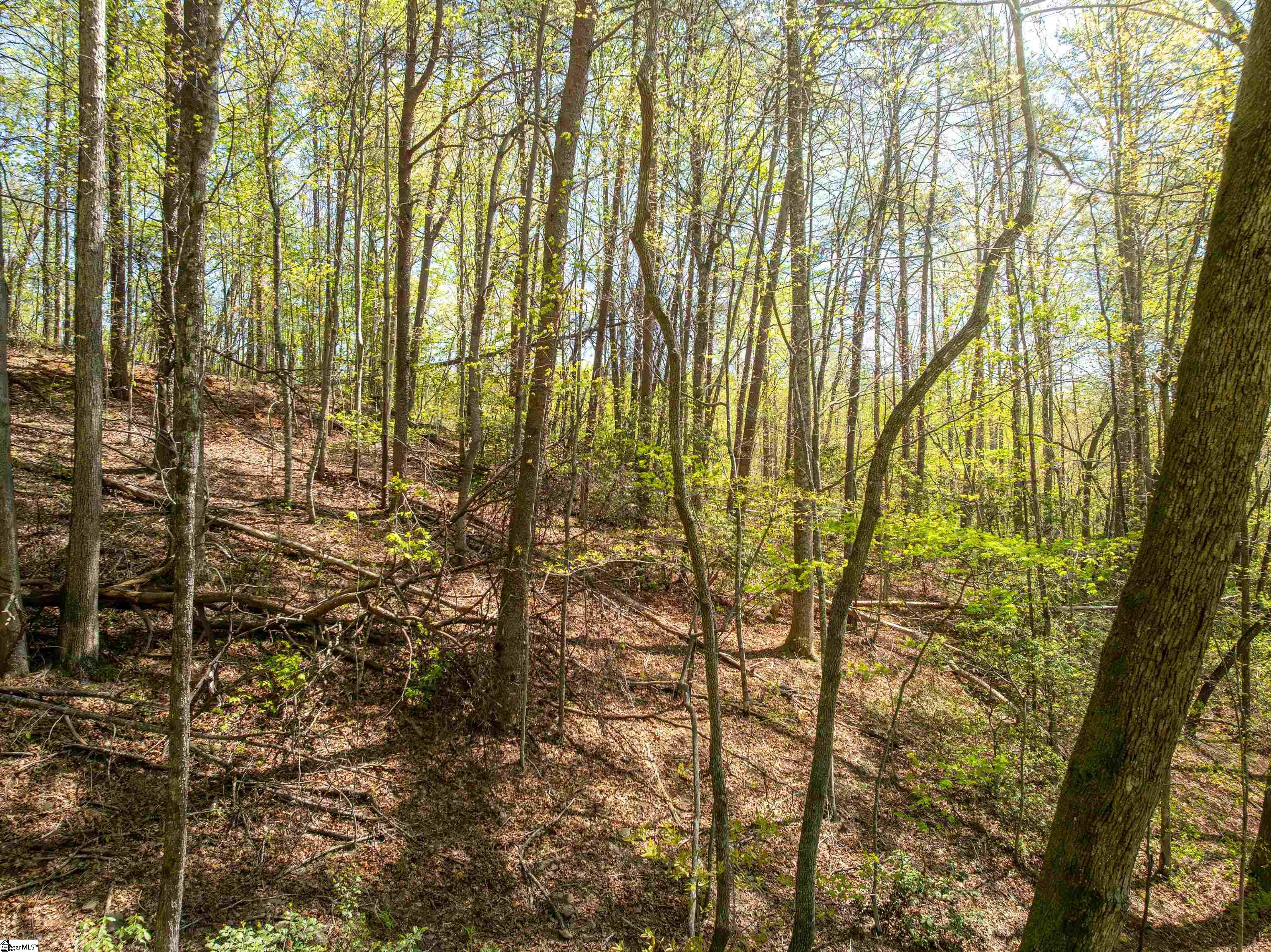 187 Shepherd Springs Drive Cleveland, SC 29635