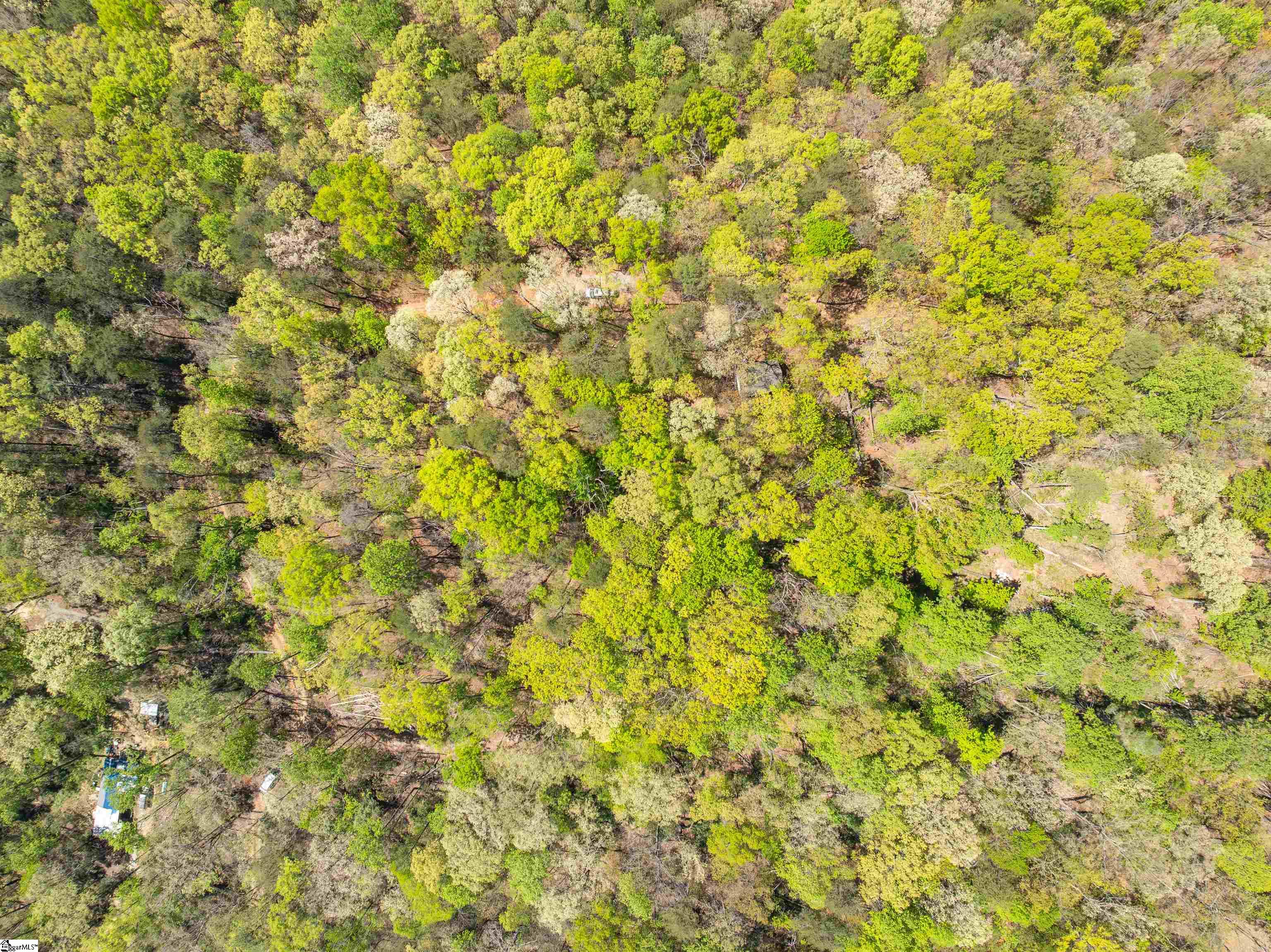 187 Shepherd Springs Drive Cleveland, SC 29635