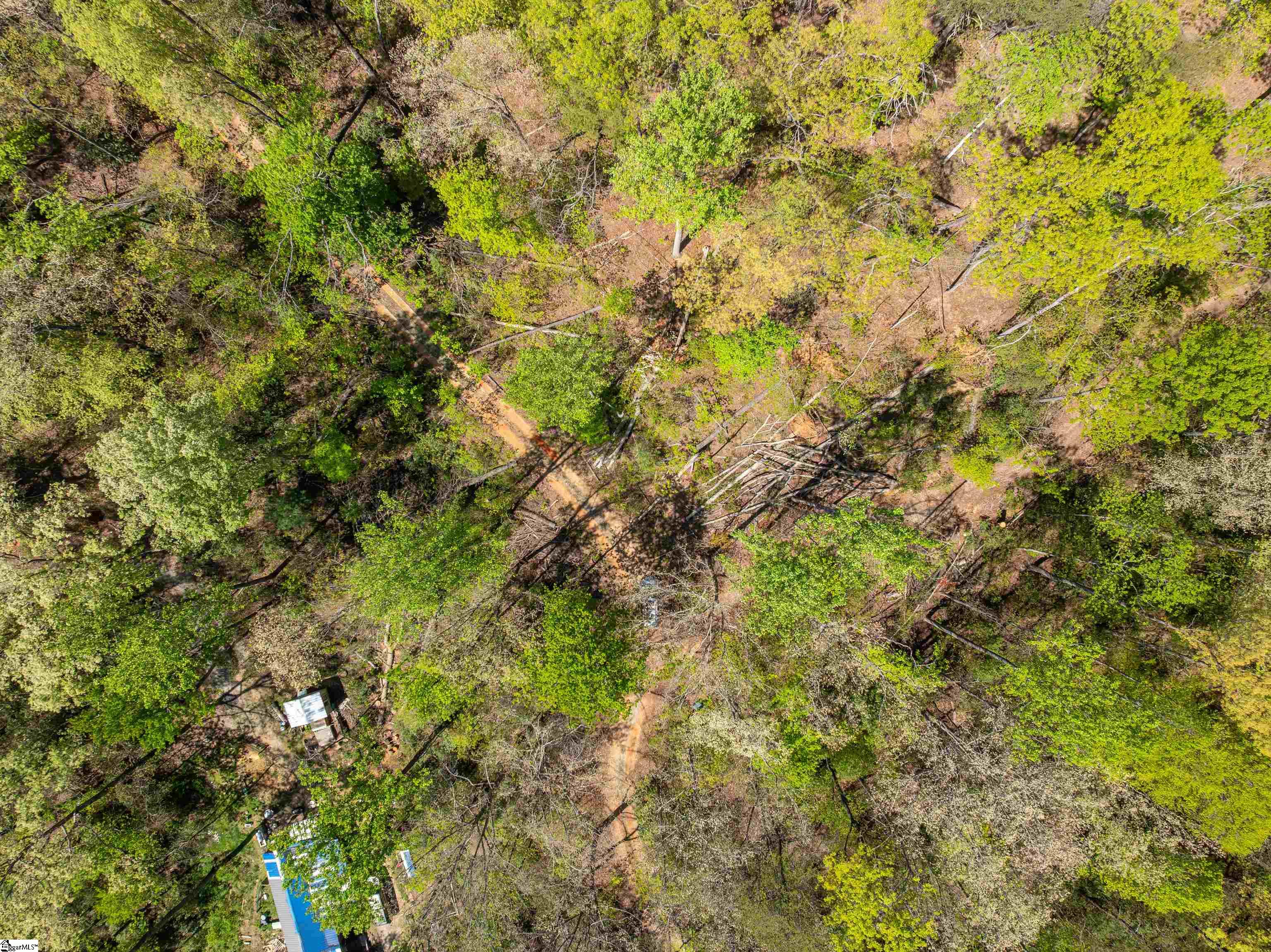 187 Shepherd Springs Drive Cleveland, SC 29635