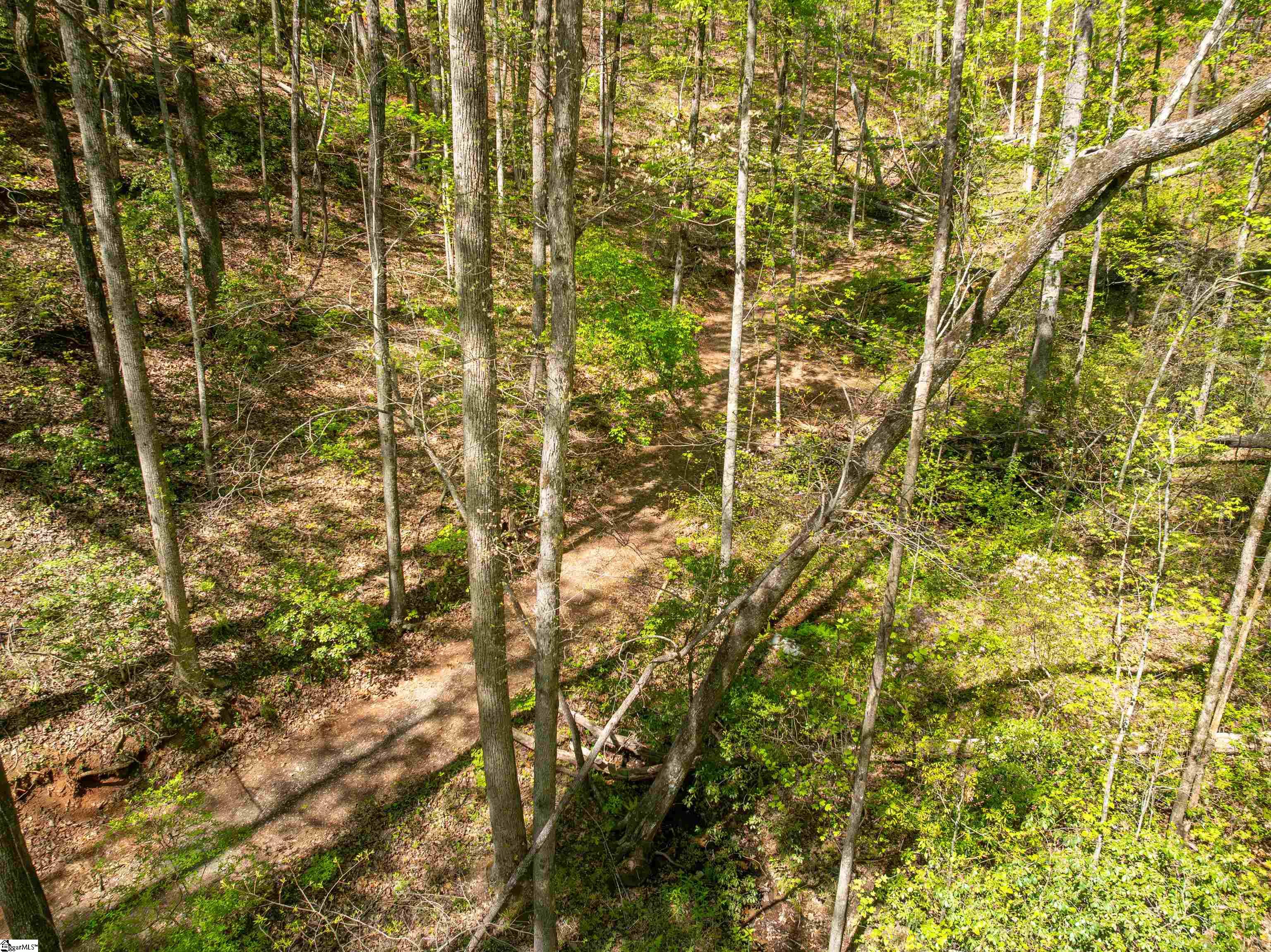 187 Shepherd Springs Drive Cleveland, SC 29635