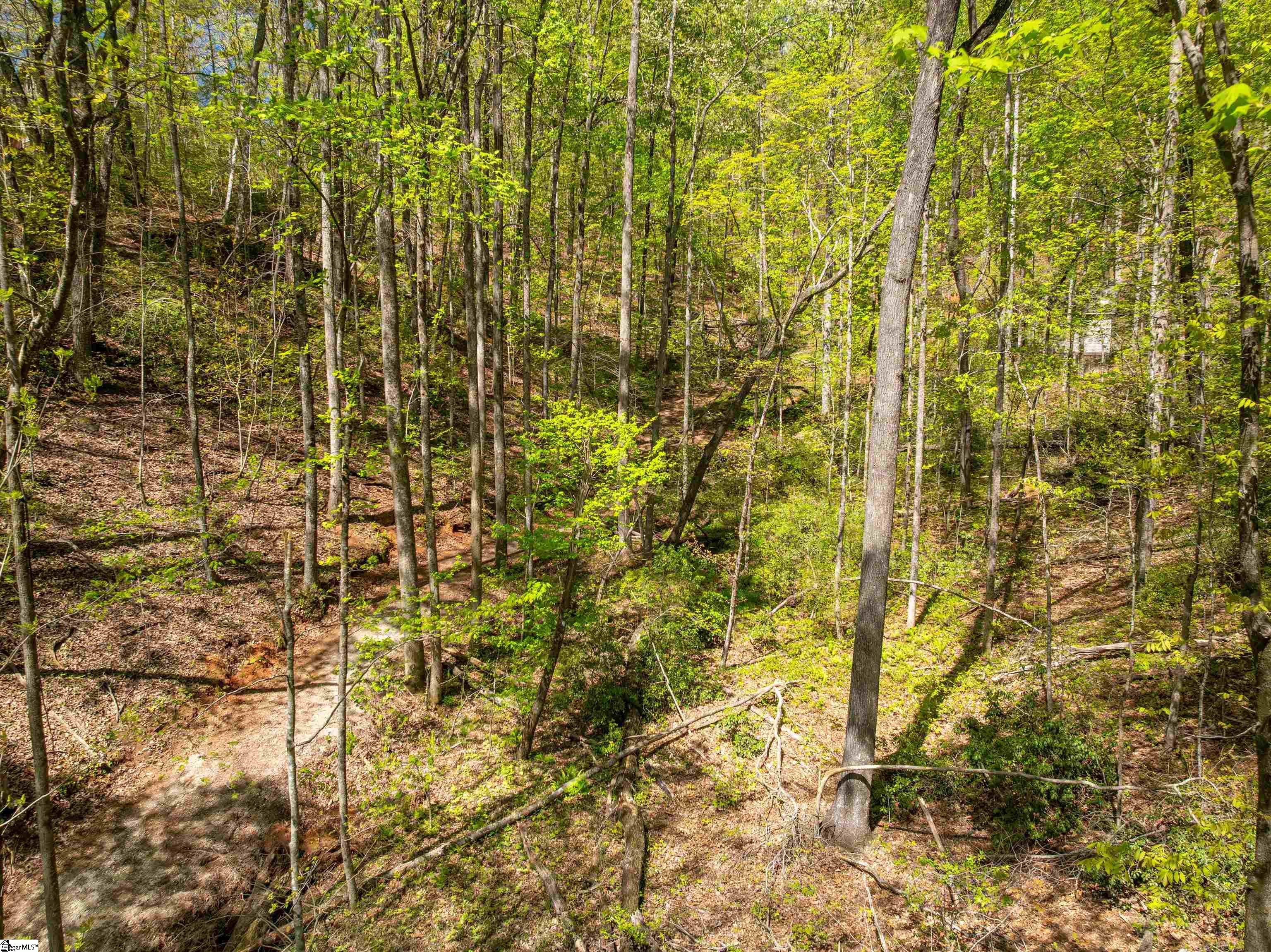 187 Shepherd Springs Drive Cleveland, SC 29635