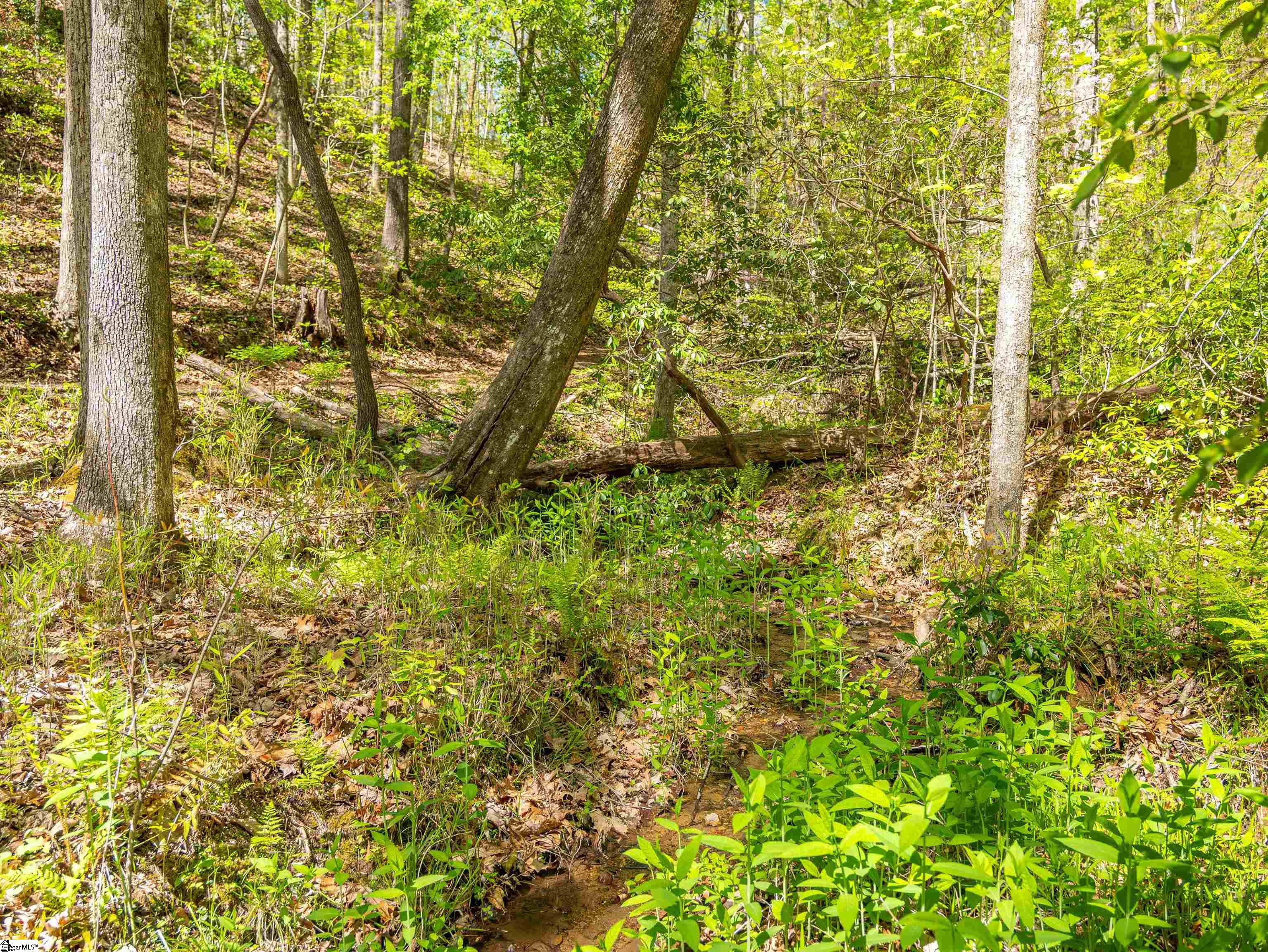 187 Shepherd Springs Drive Cleveland, SC 29635