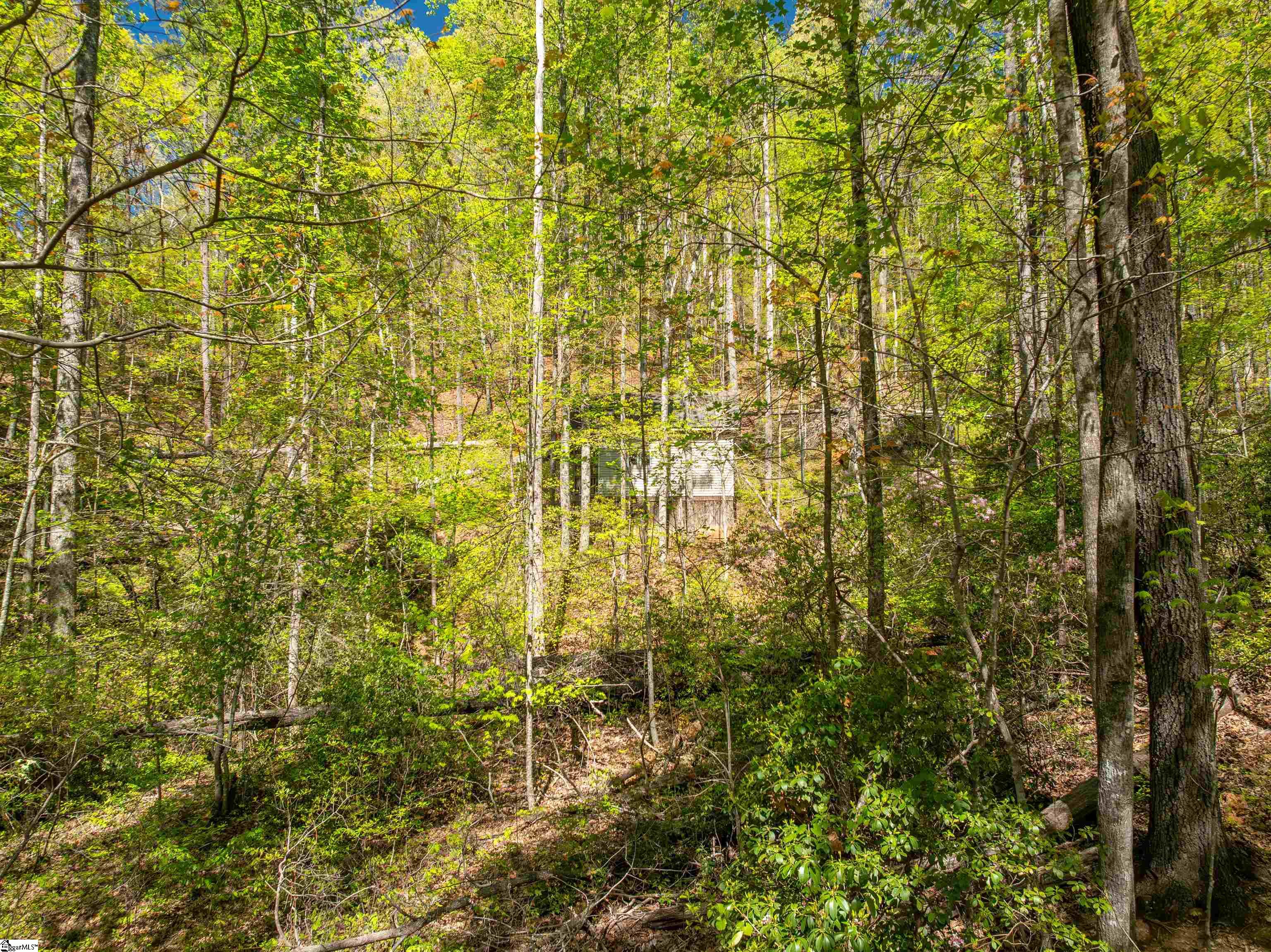 187 Shepherd Springs Drive Cleveland, SC 29635